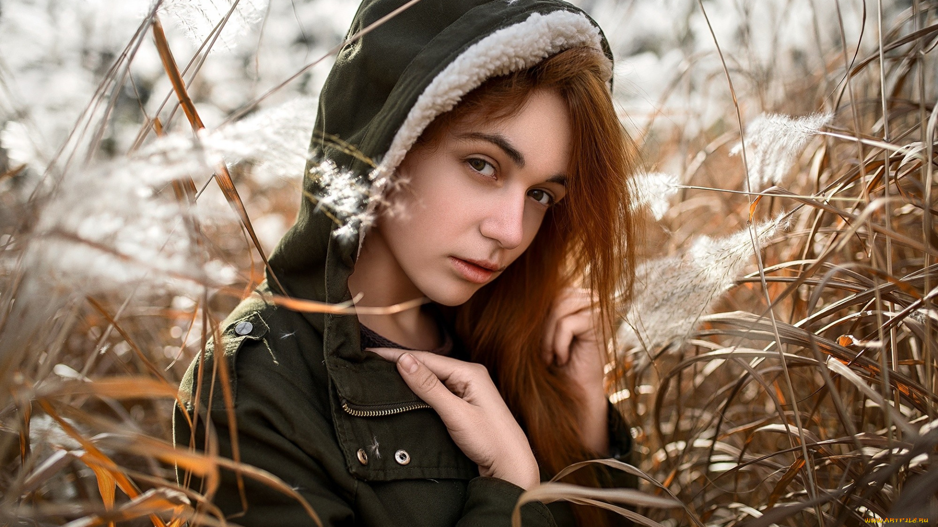 девушки, -, рыжеволосые, и, разноцветные, женщины, капюшоны, портрет, рыжеволосый, дмитрий, бегма, куртка, крупным, планом