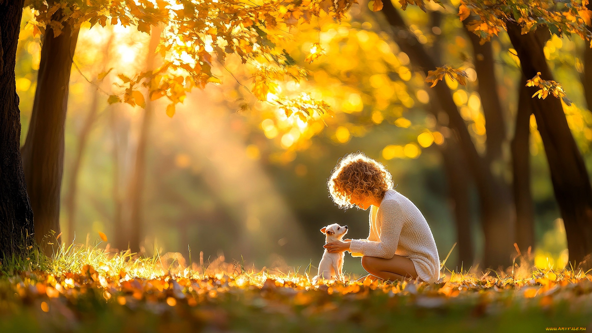 разное, дети, девочка, щенок, осень, парк, листья