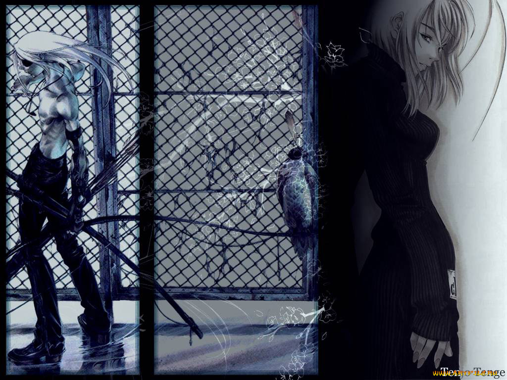 аниме, tenjou, tenge