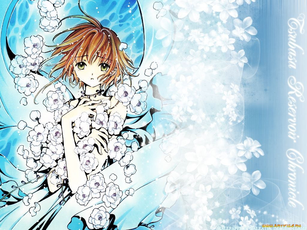 аниме, tsubasa, reservoir, chronicles