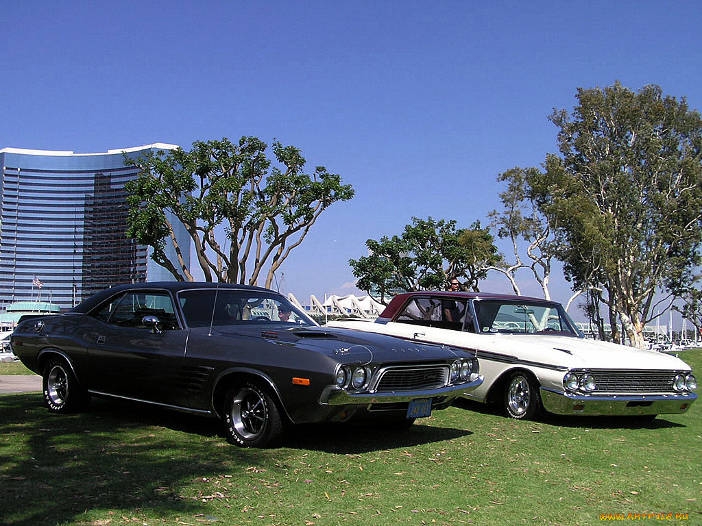 автомобили, разные, вместе