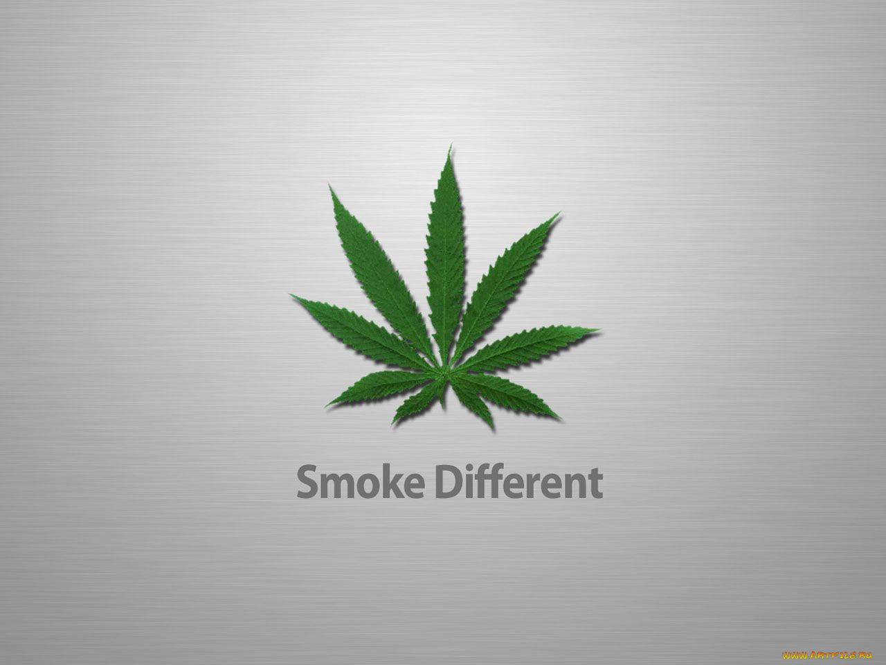 юмор, приколы