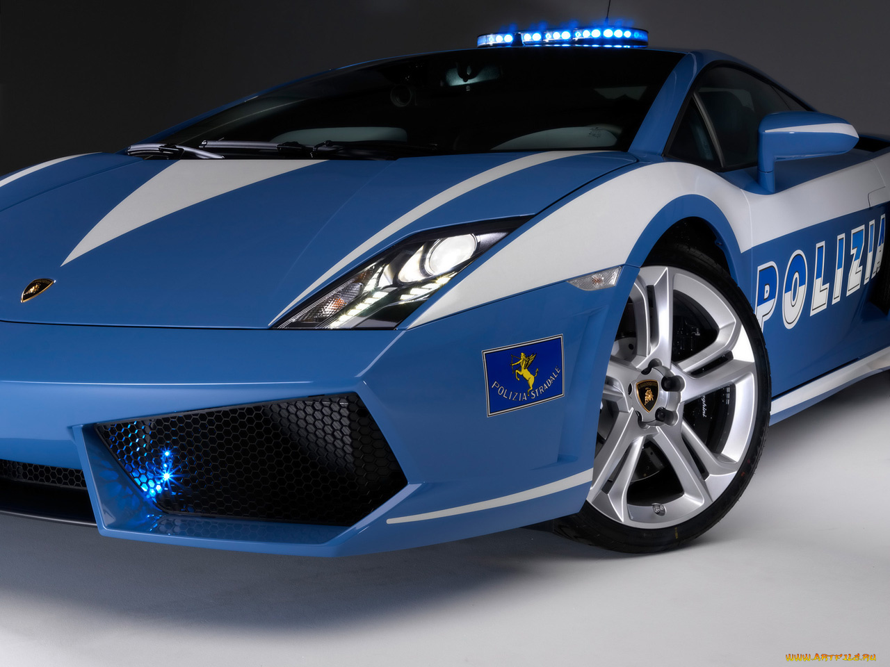 lamborghini, gallardo, lp560, 2009, автомобили, полиция