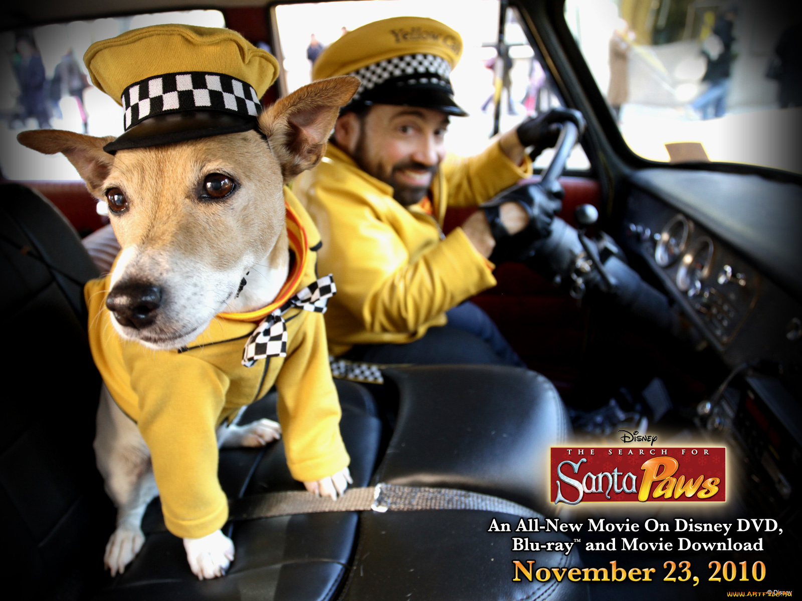 the, search, for, santa, paws, кино, фильмы