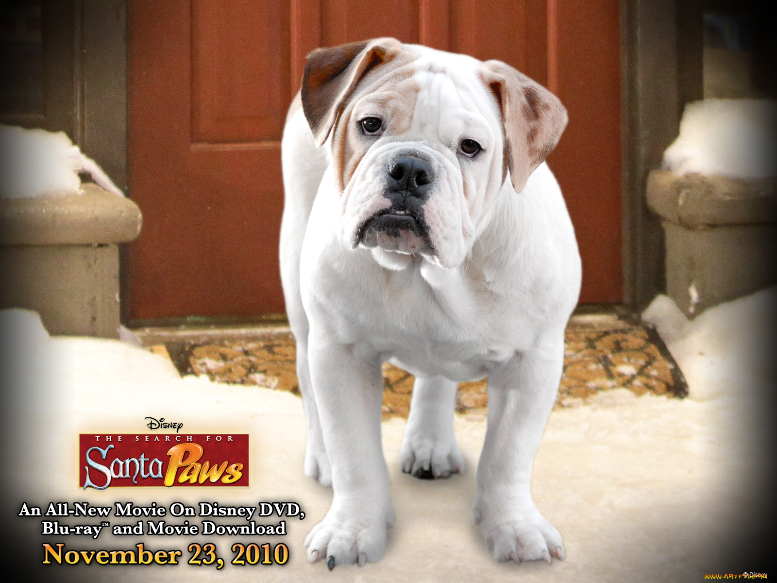 the, search, for, santa, paws, кино, фильмы