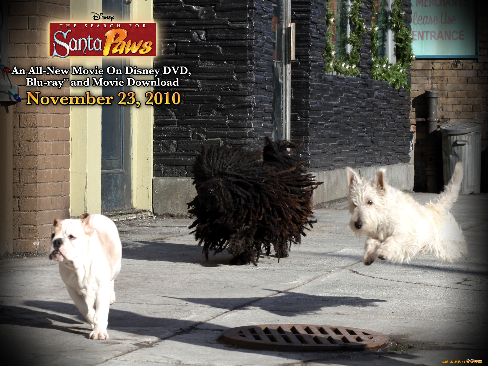 the, search, for, santa, paws, кино, фильмы