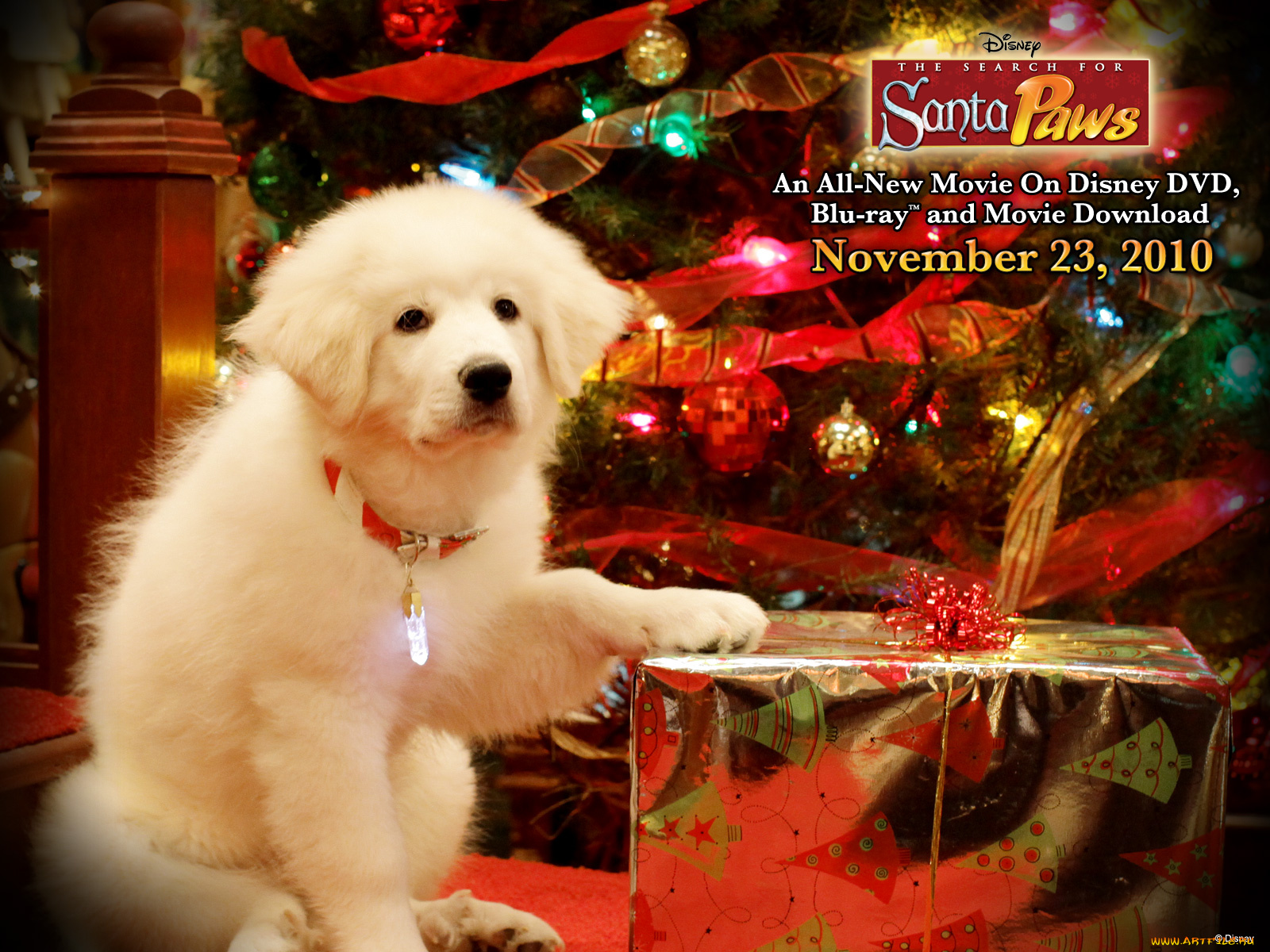 the, search, for, santa, paws, кино, фильмы