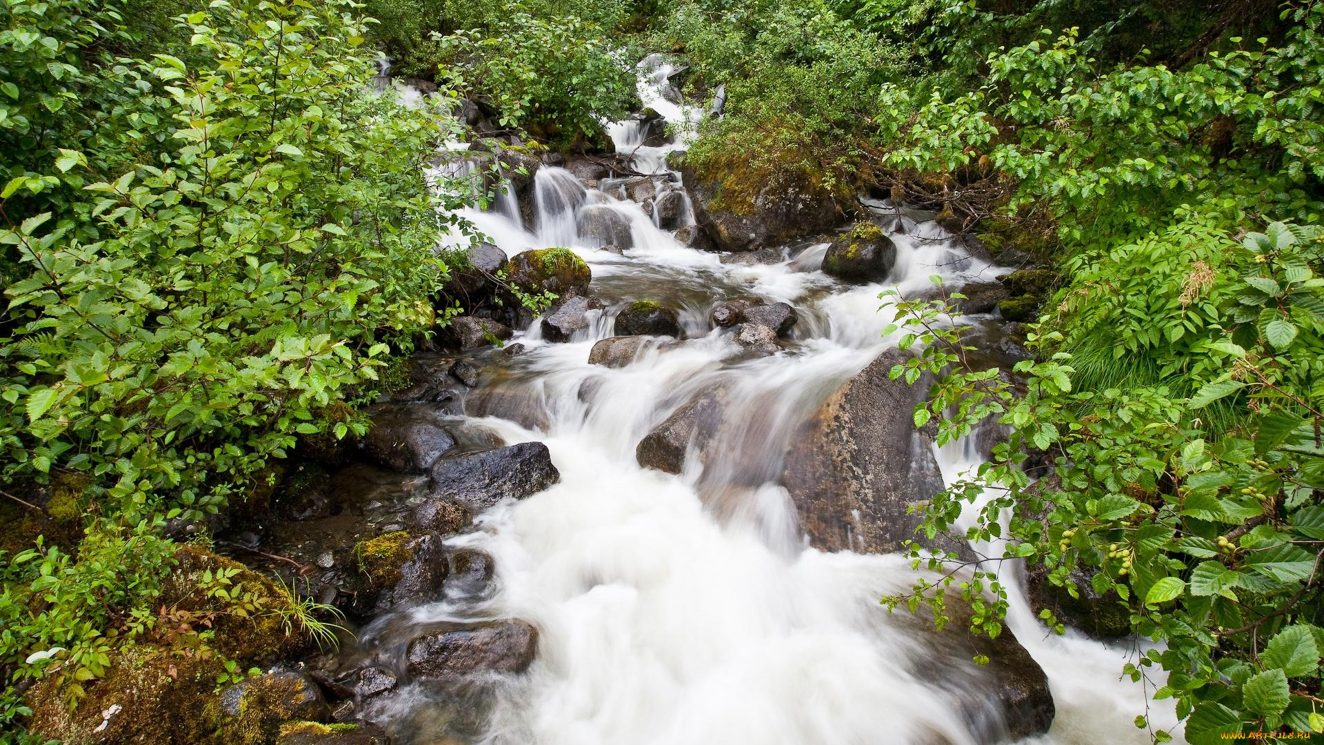 автор, сергей, доля, природа, реки, озера