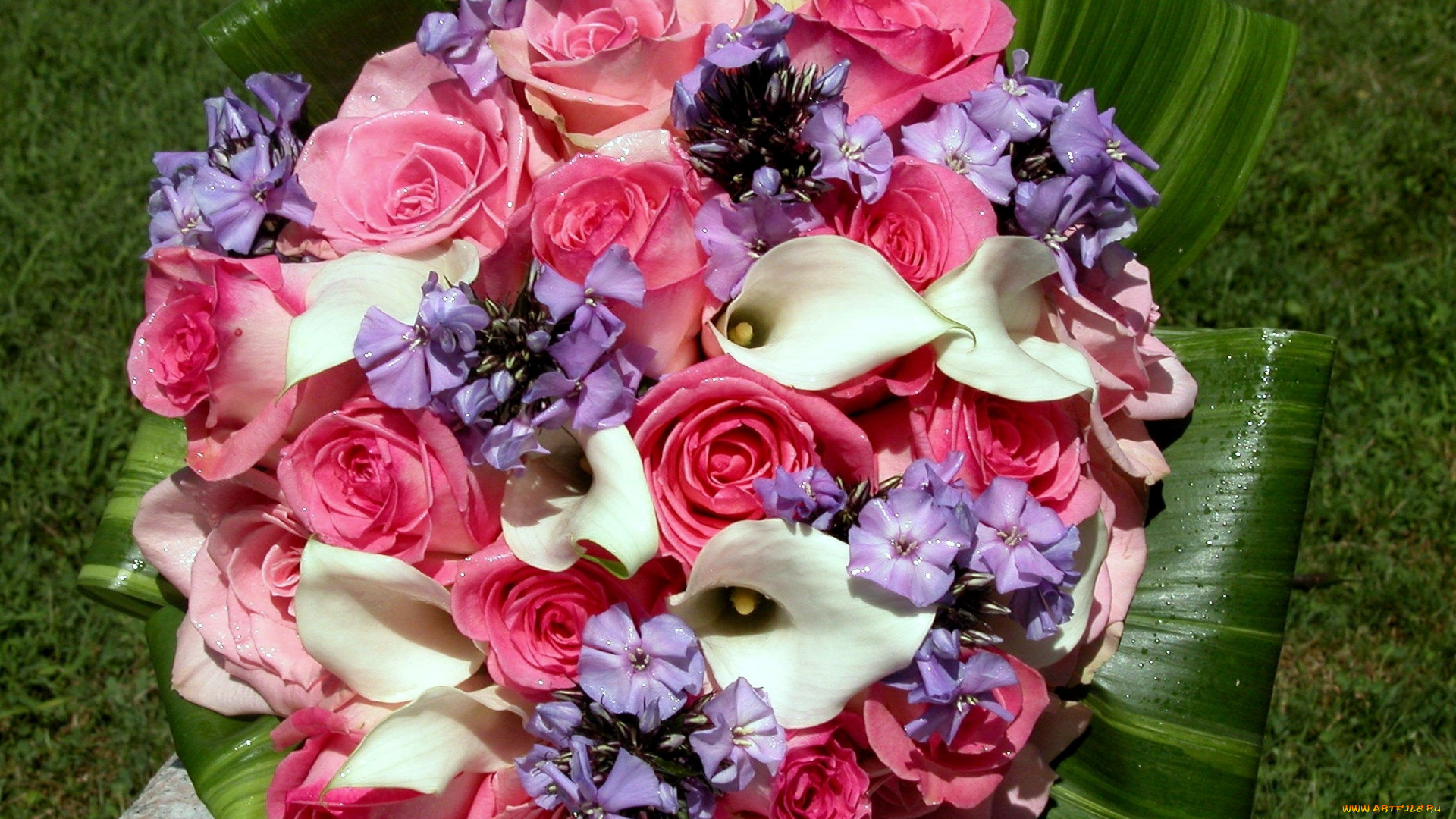 цветы, букеты, композиции, листья, розы, флоксы, калы