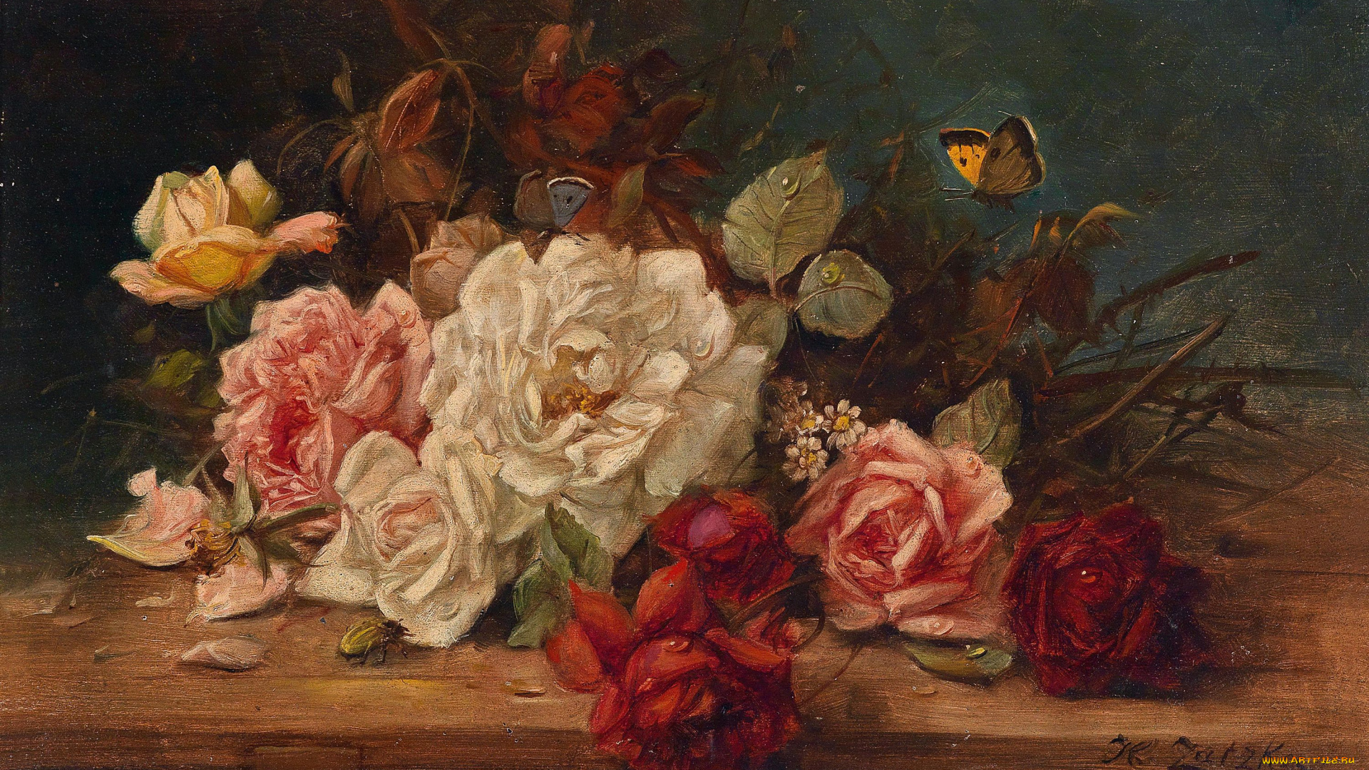 hans, zatzka, рисованные