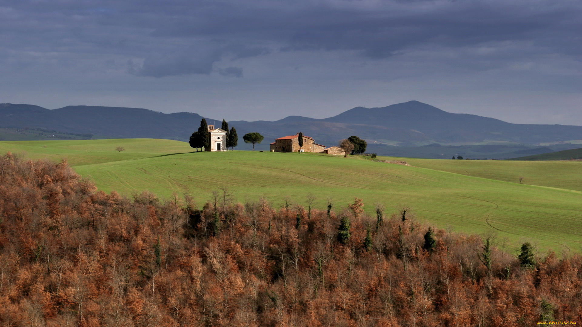 природа, поля, поле, дома