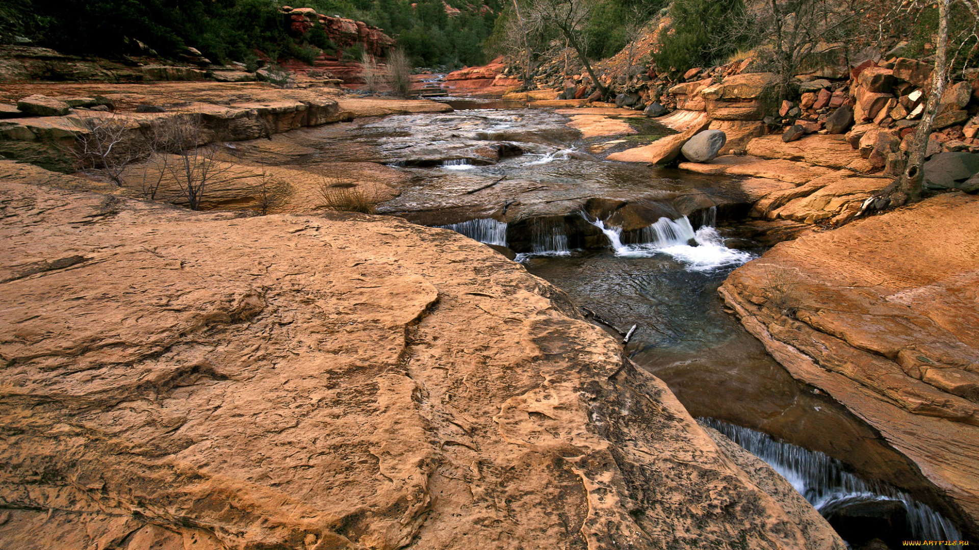 природа, реки, озера, река, камни