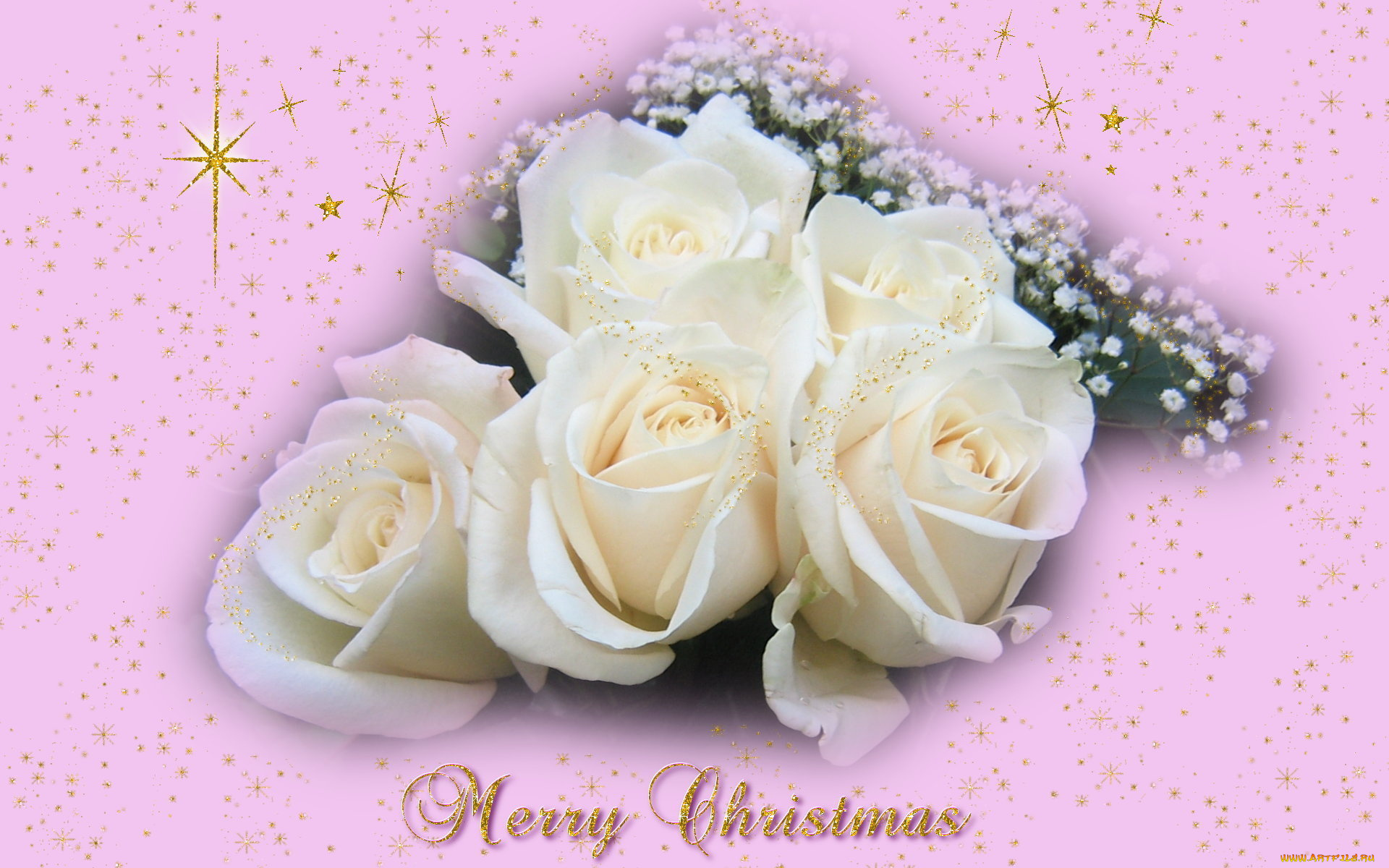 праздничные, мишура, гирлянды, цветы, розы