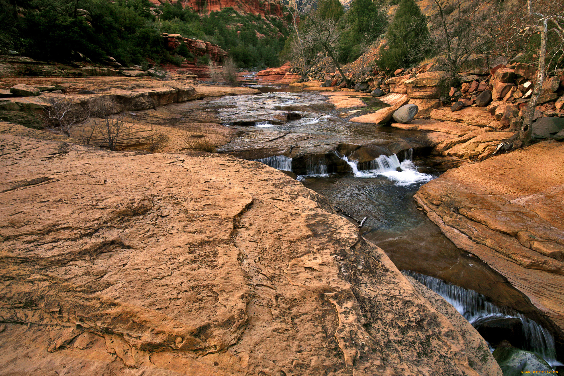 природа, реки, озера, река, камни