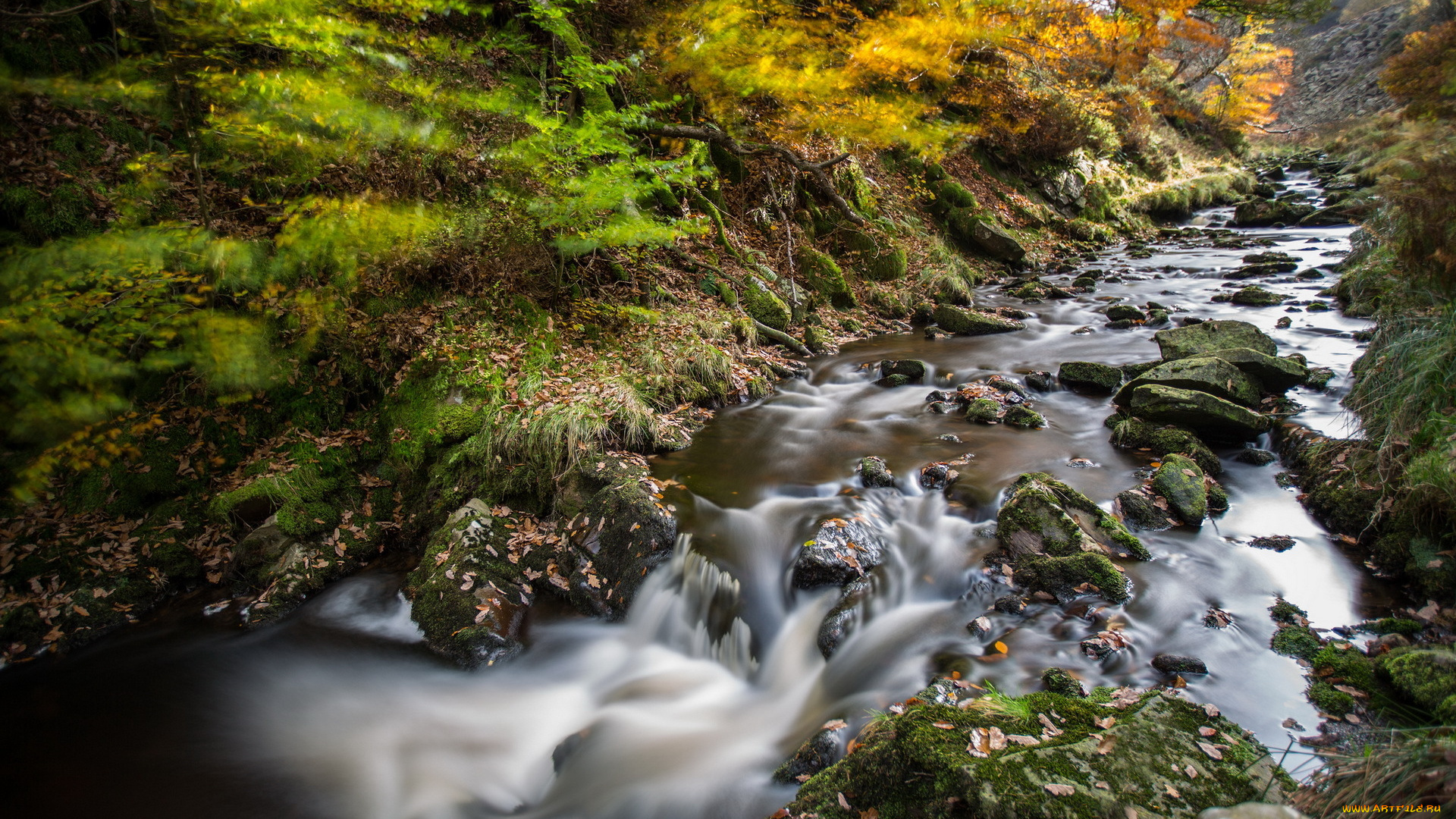 природа, реки, озера, камни, река