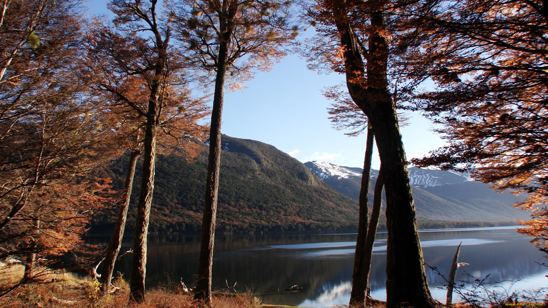 природа, реки, озера, трава, горы, озеро, деревья