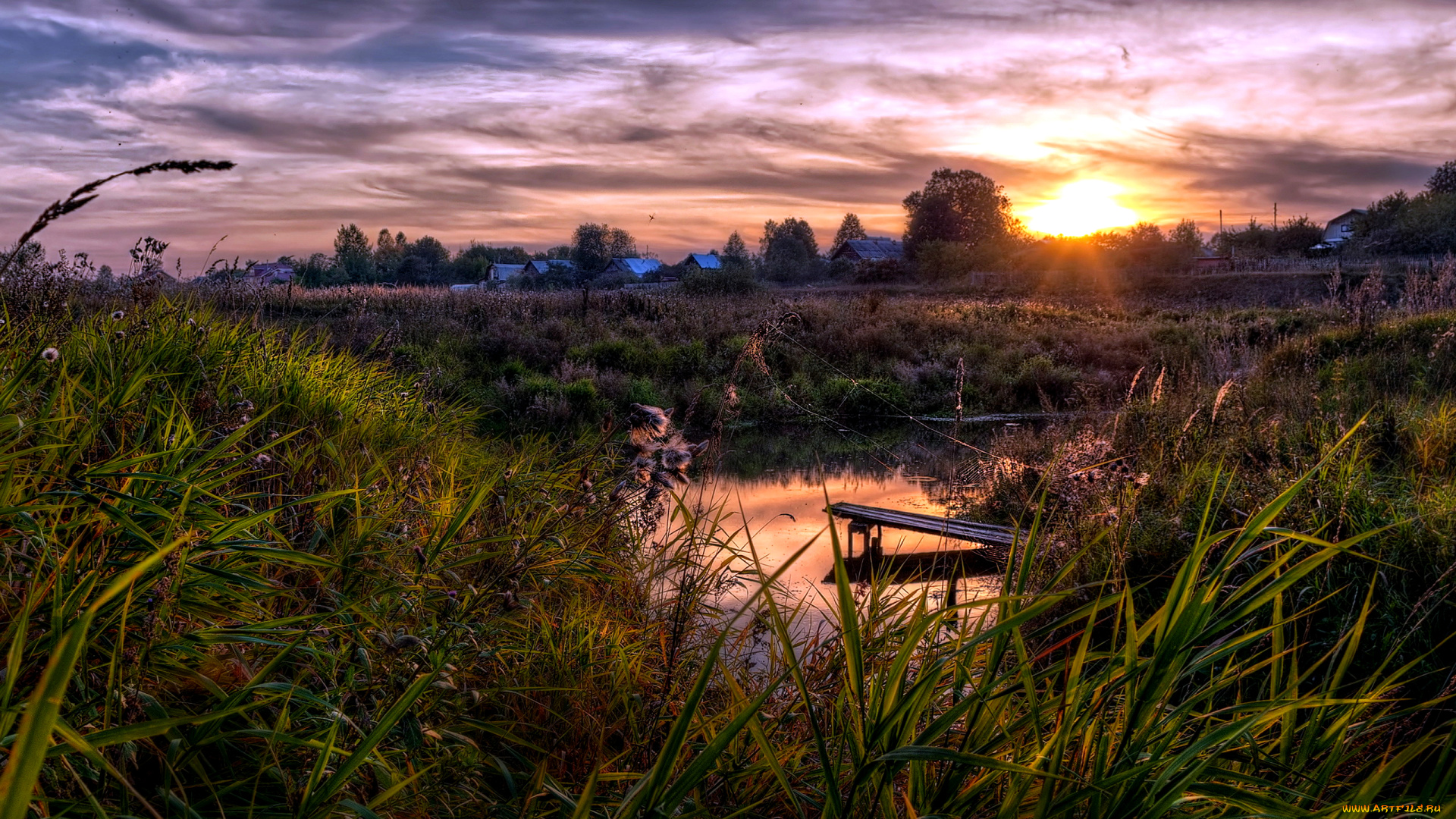 природа, восходы, закаты, трава, речка, утро, лето, облака, покой, заросли