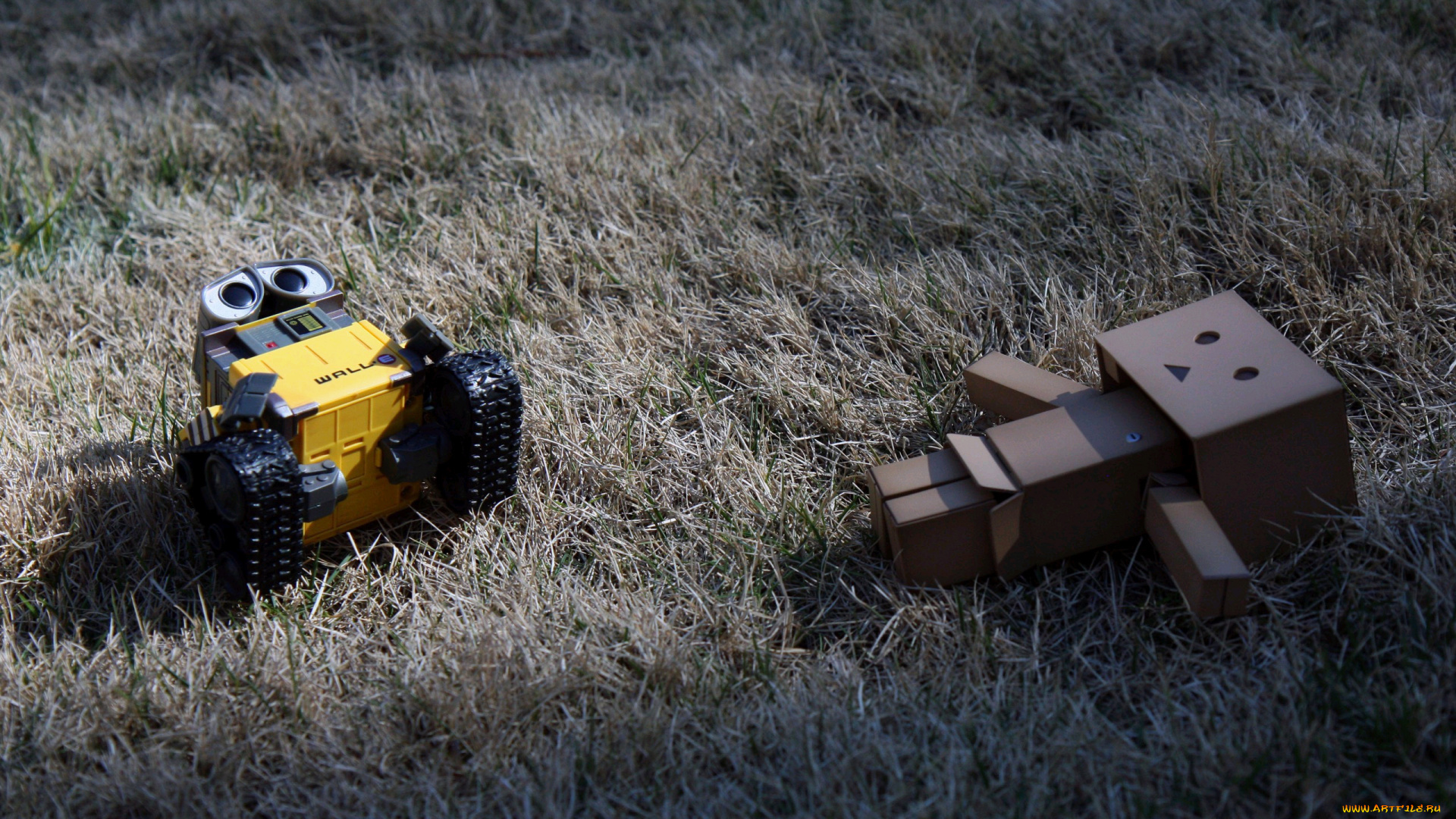 разное, данбо, danboard, коробочка