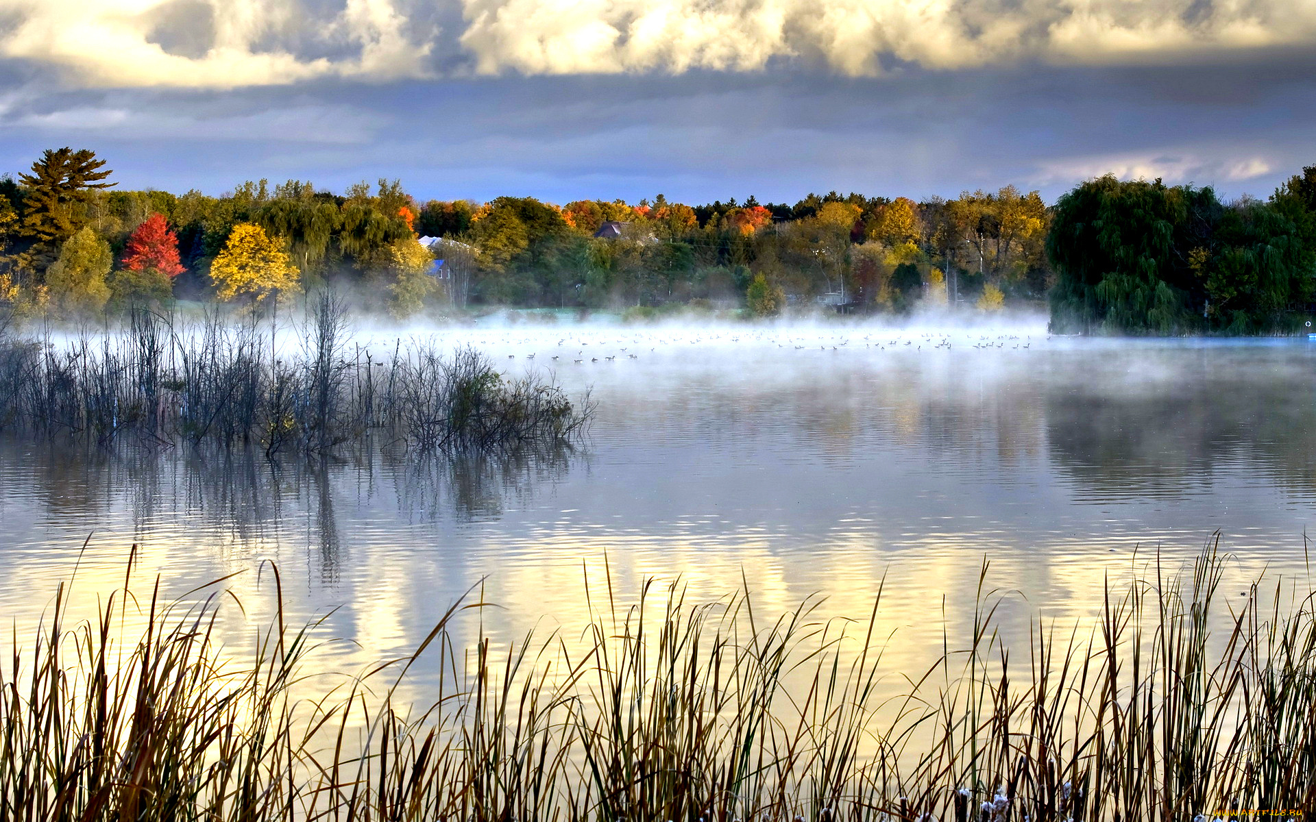 утро, природа, реки, озера, озеро, трава, туман, тишина