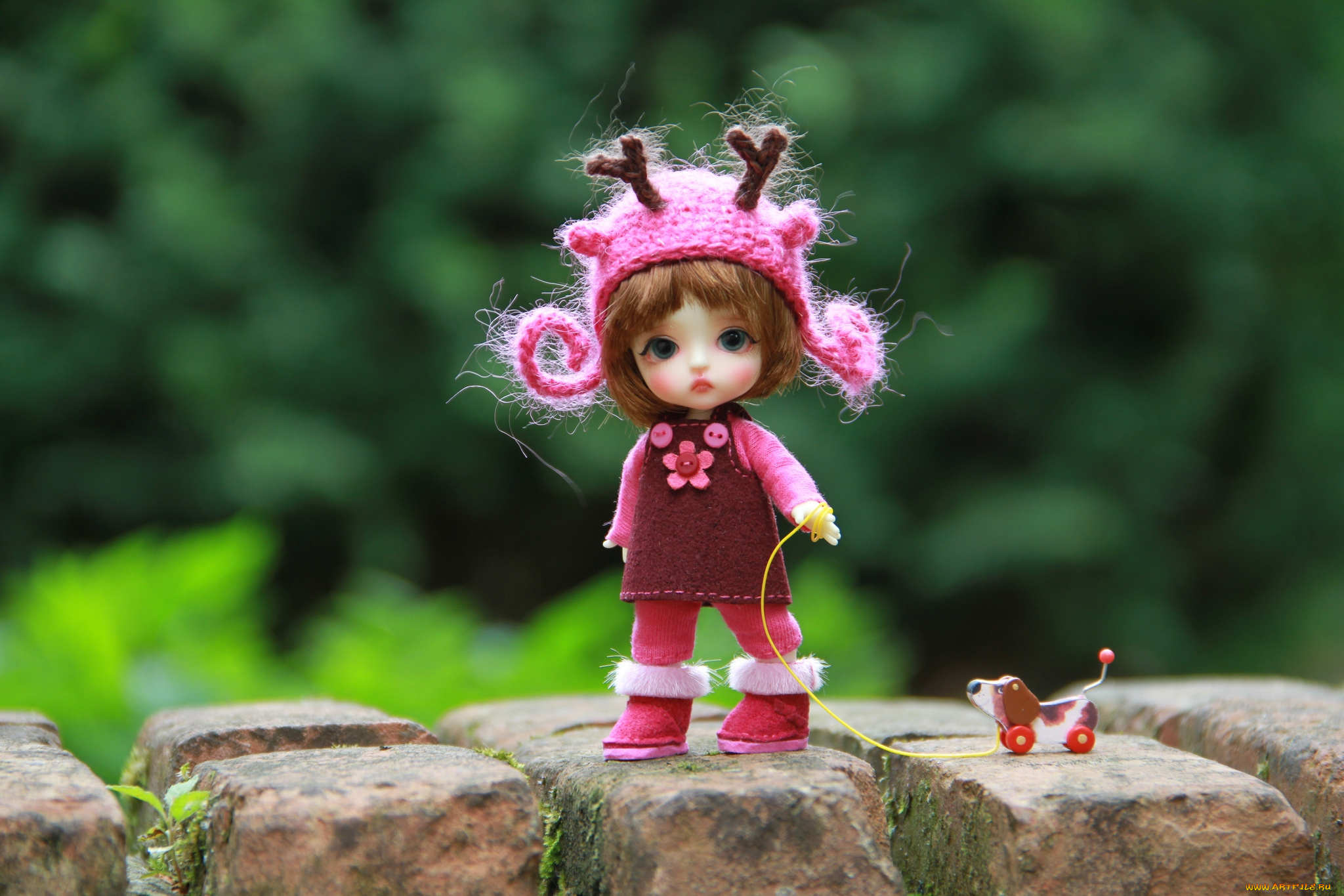 разное, игрушки, кукла, собачка