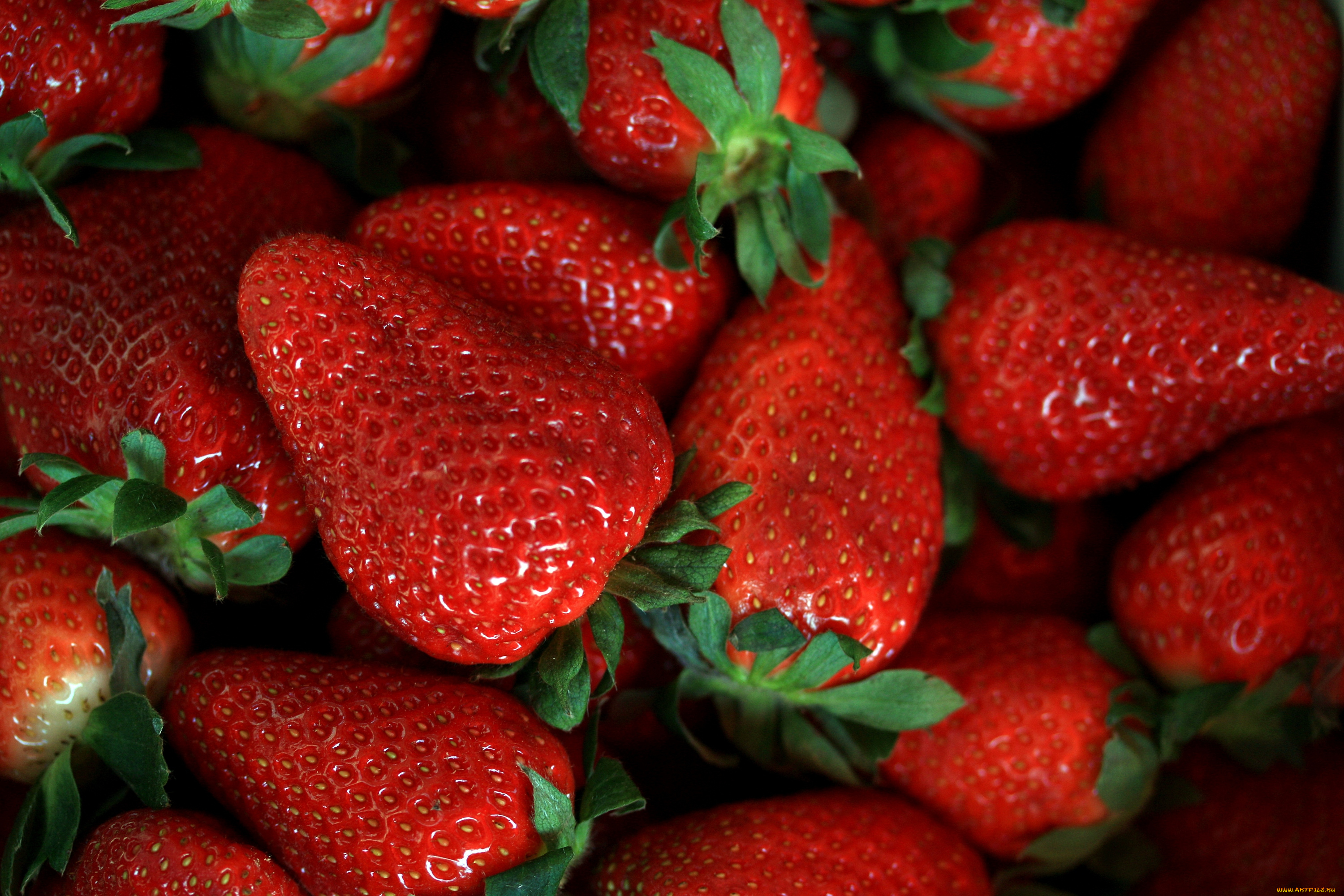 еда, клубника, земляника, красный, ягоды
