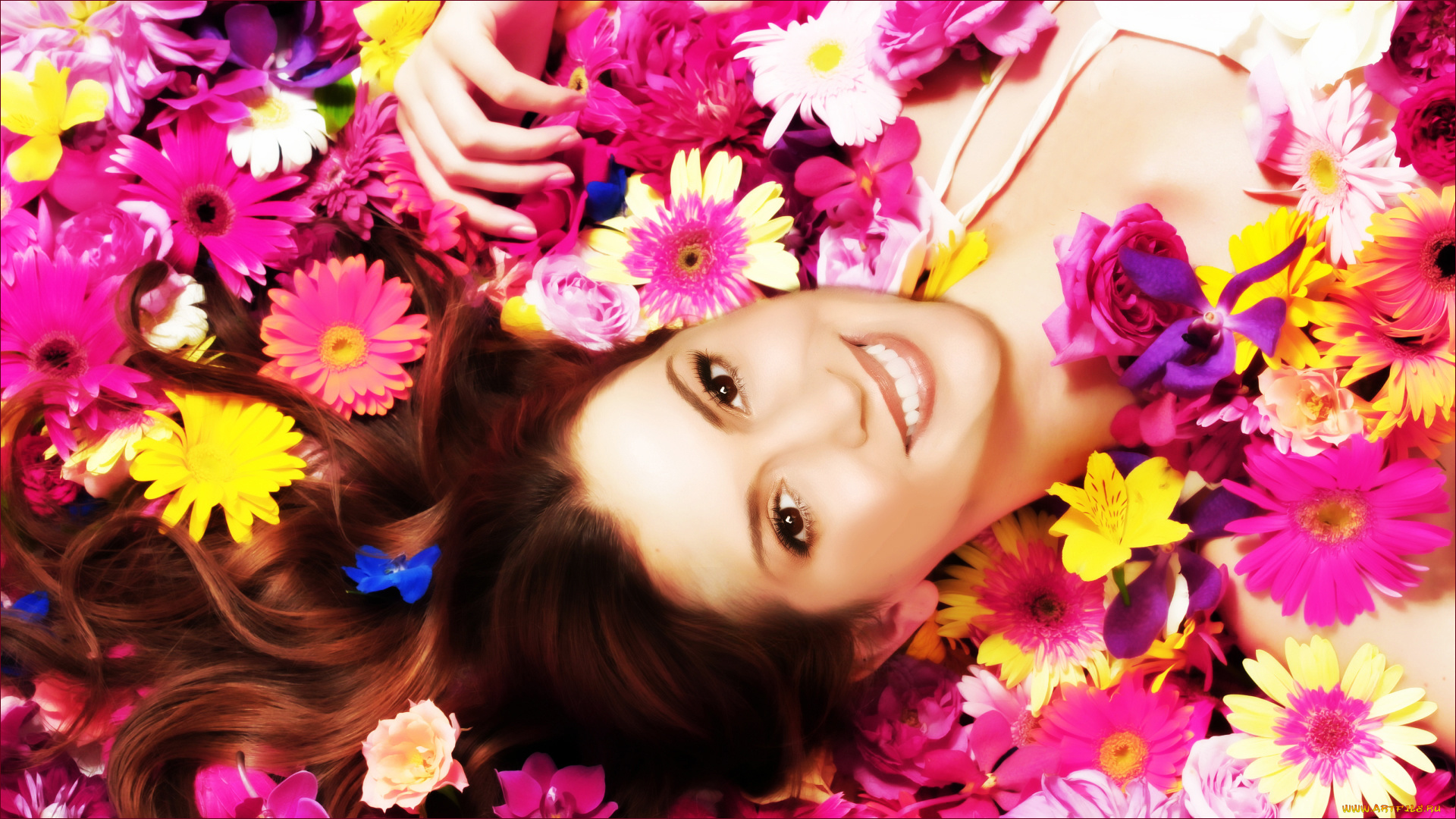 charmed, кино, фильмы, сериал, зачарованные