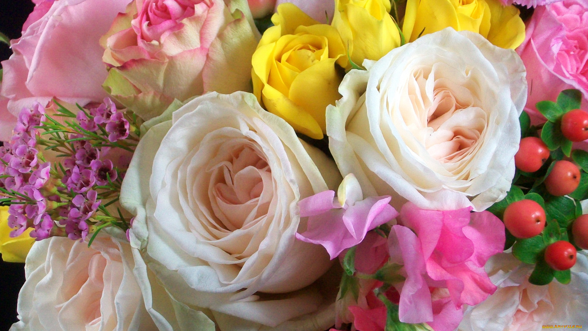 цветы, букеты, композиции, гвоздики, букет, розы