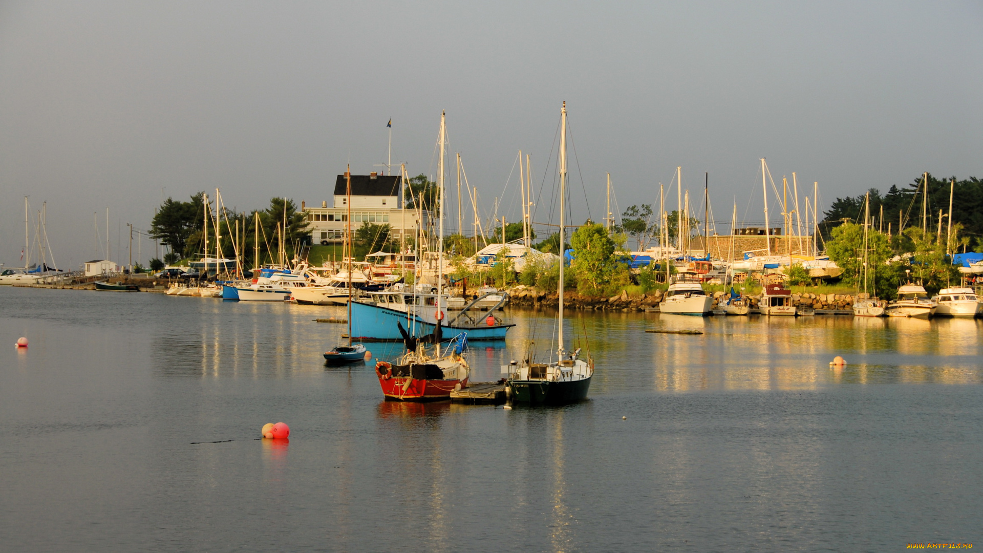 корабли, разные, вместе, море, парусники, галифакс, катера, канада
