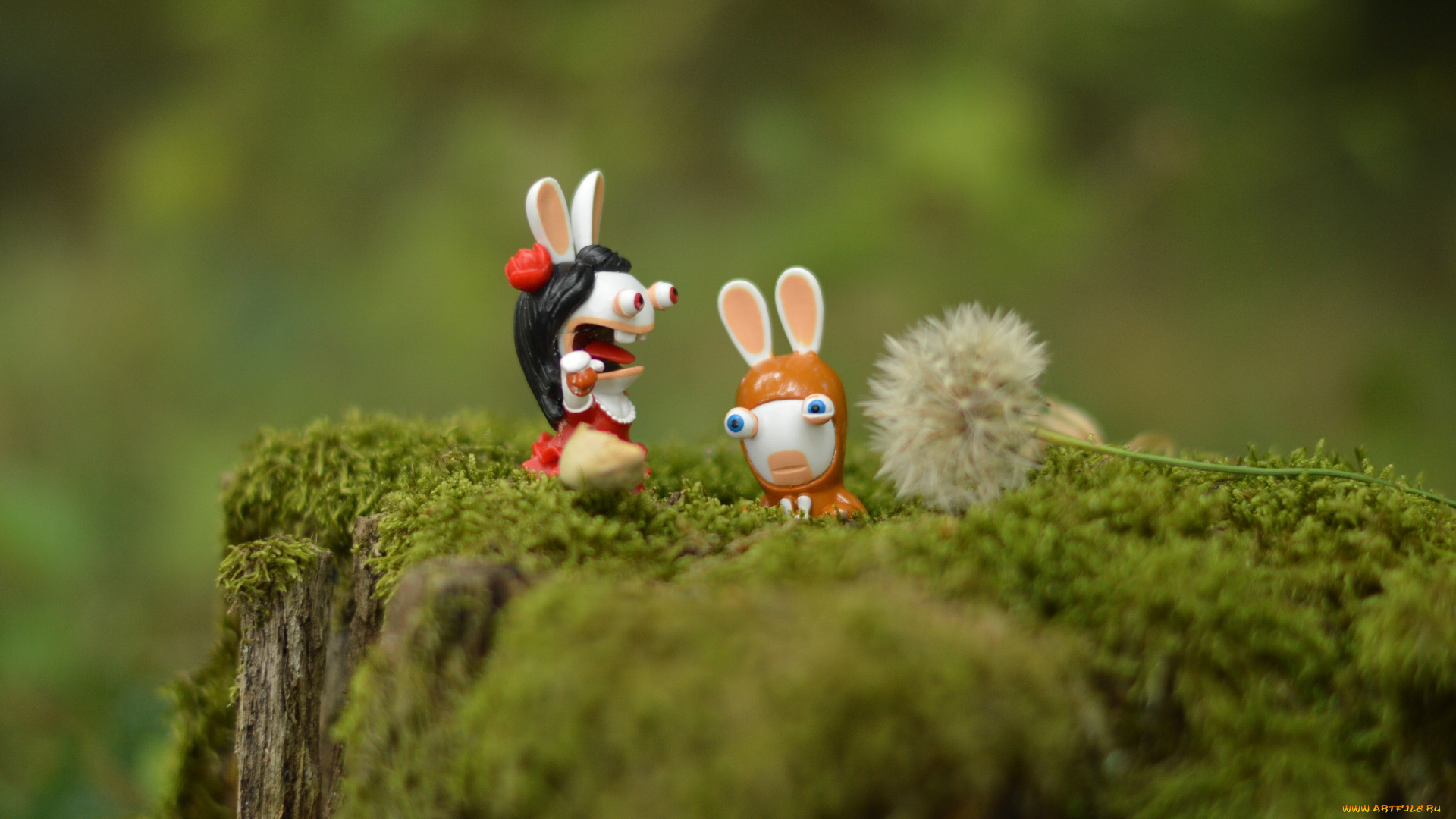 разное, игрушки, макро, мох, пень, кролики