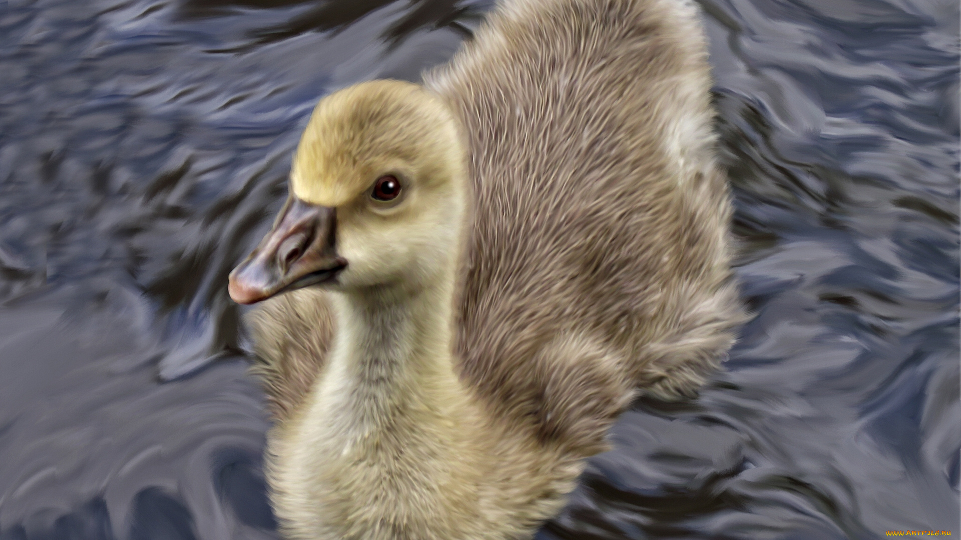 рисованные, животные, птицы, гуси, вода, птенец, гусёнок