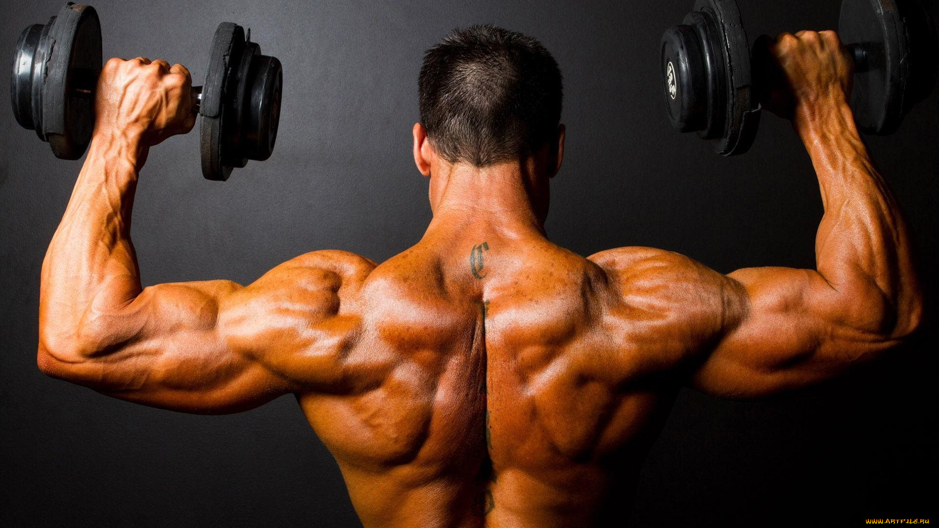 спорт, body, building, гантели