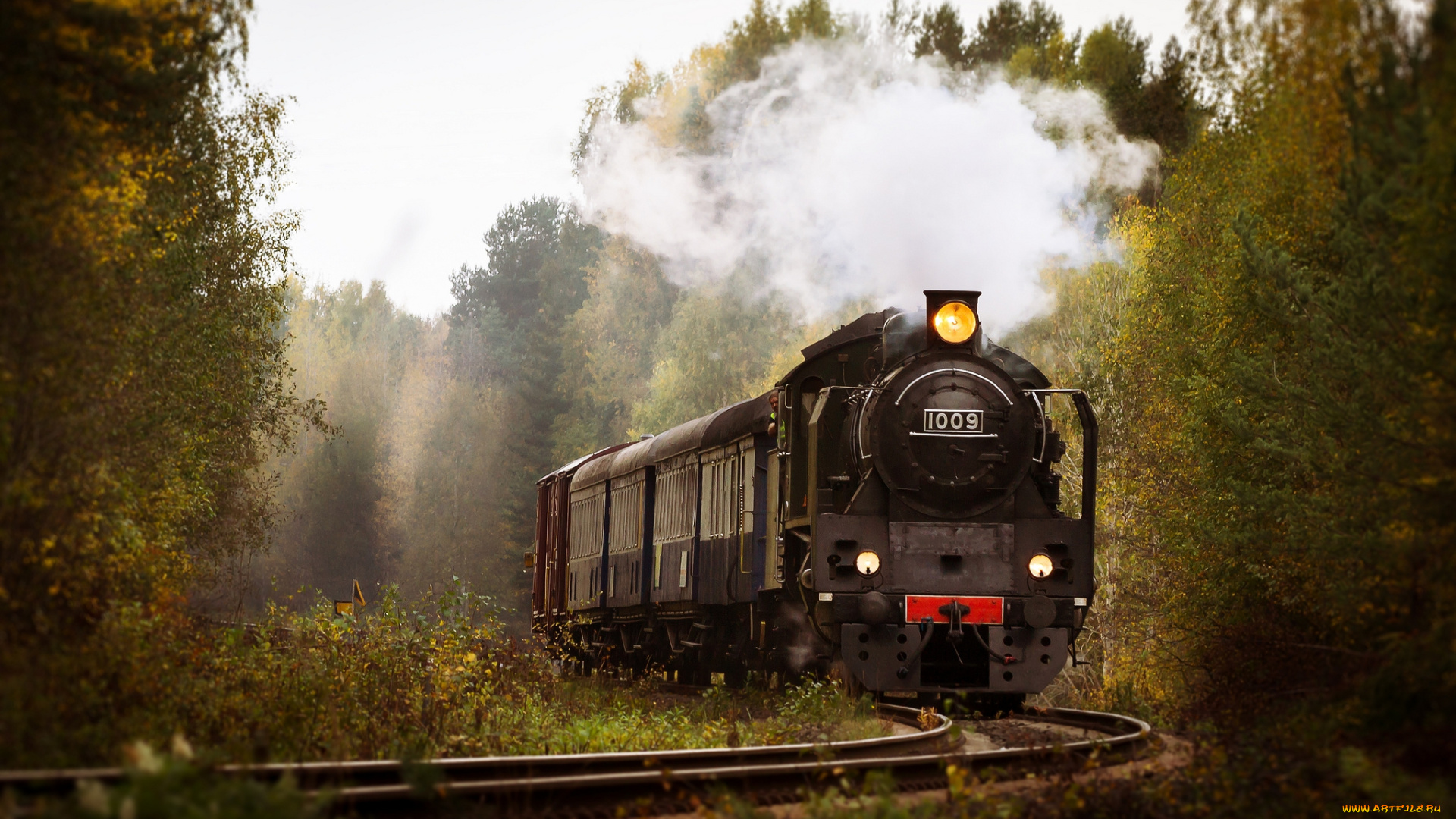 техника, паровозы, лес, железная, дорога, рельсы, паровоз, вагоны