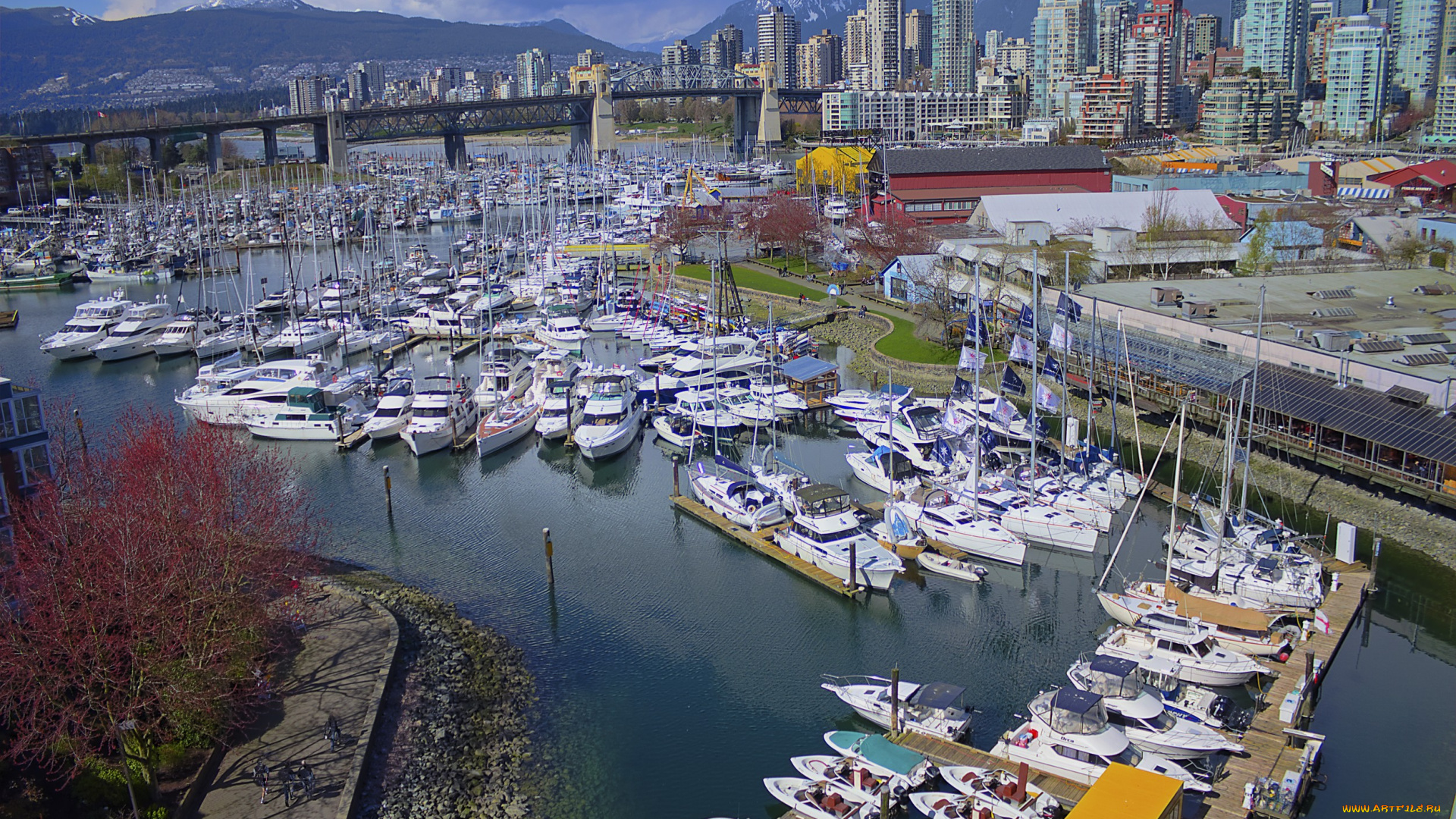 vancouver, корабли, порты, причалы, город, гавань, порт, яхты