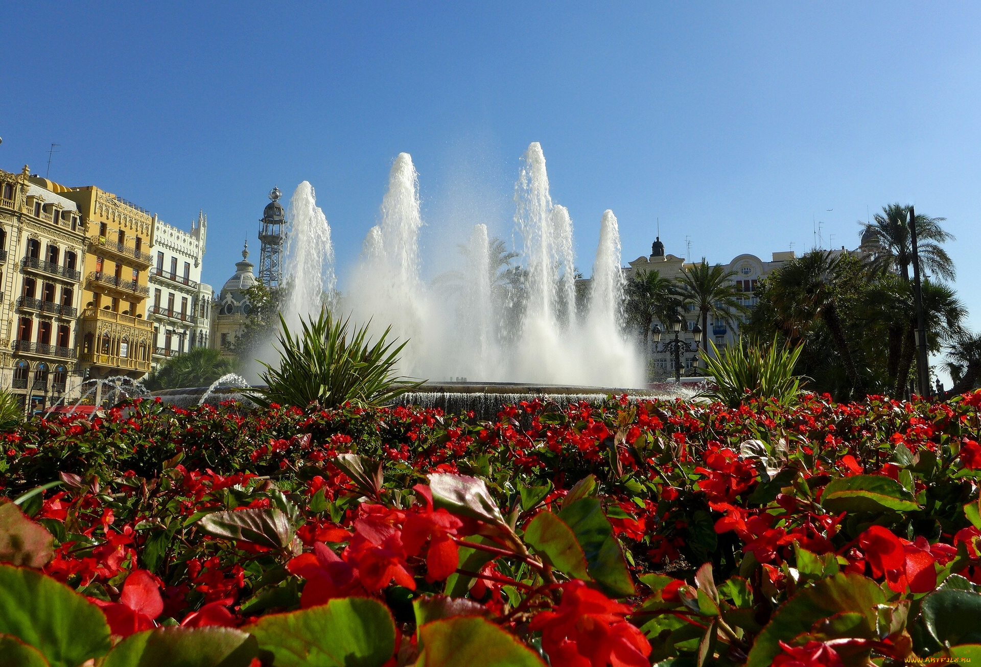 valencia, spain, города, фонтаны, клумба, испания, фонтан, цветы, бегонии, валенсия