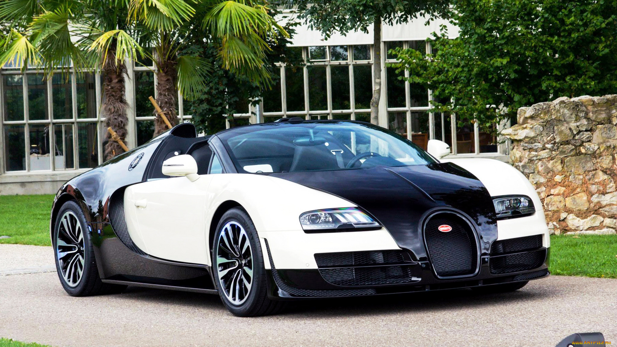 bugatti, veyron, автомобили, франция, суперкары, automobiles, s, a