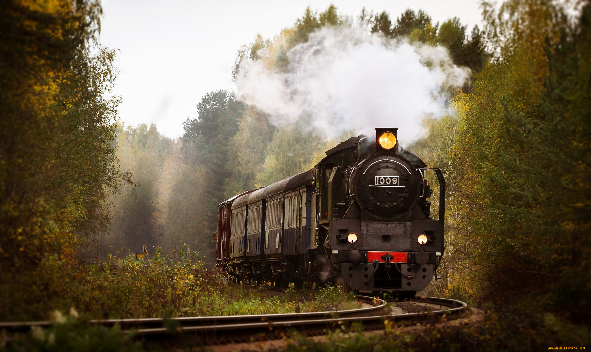 техника, паровозы, лес, железная, дорога, рельсы, паровоз, вагоны