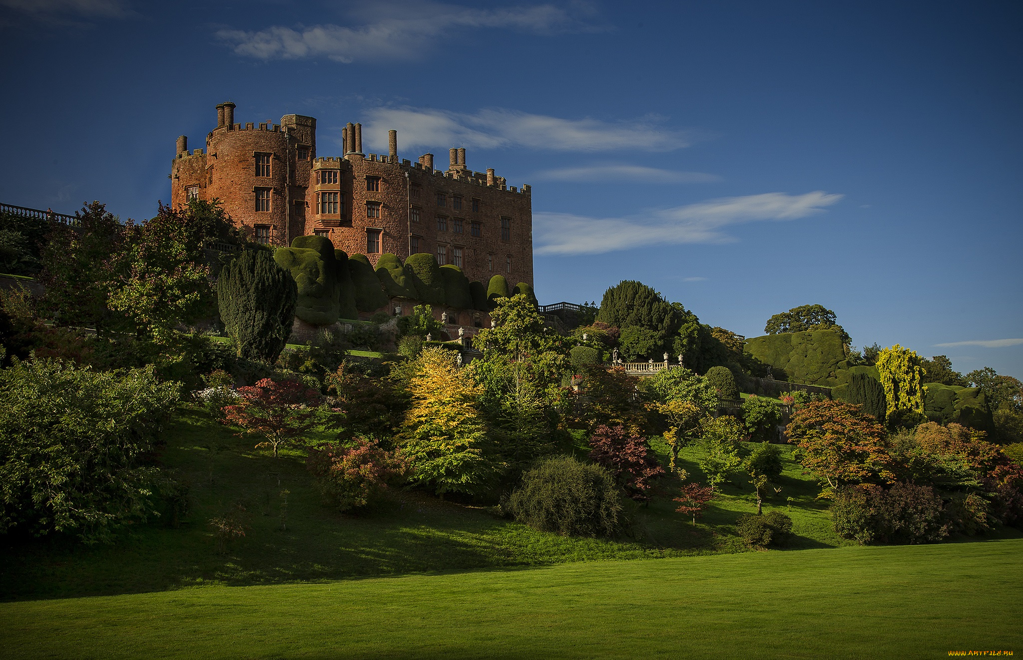 powis, castle, города, дворцы, замки, крепости, замок, деревья, парк, трава