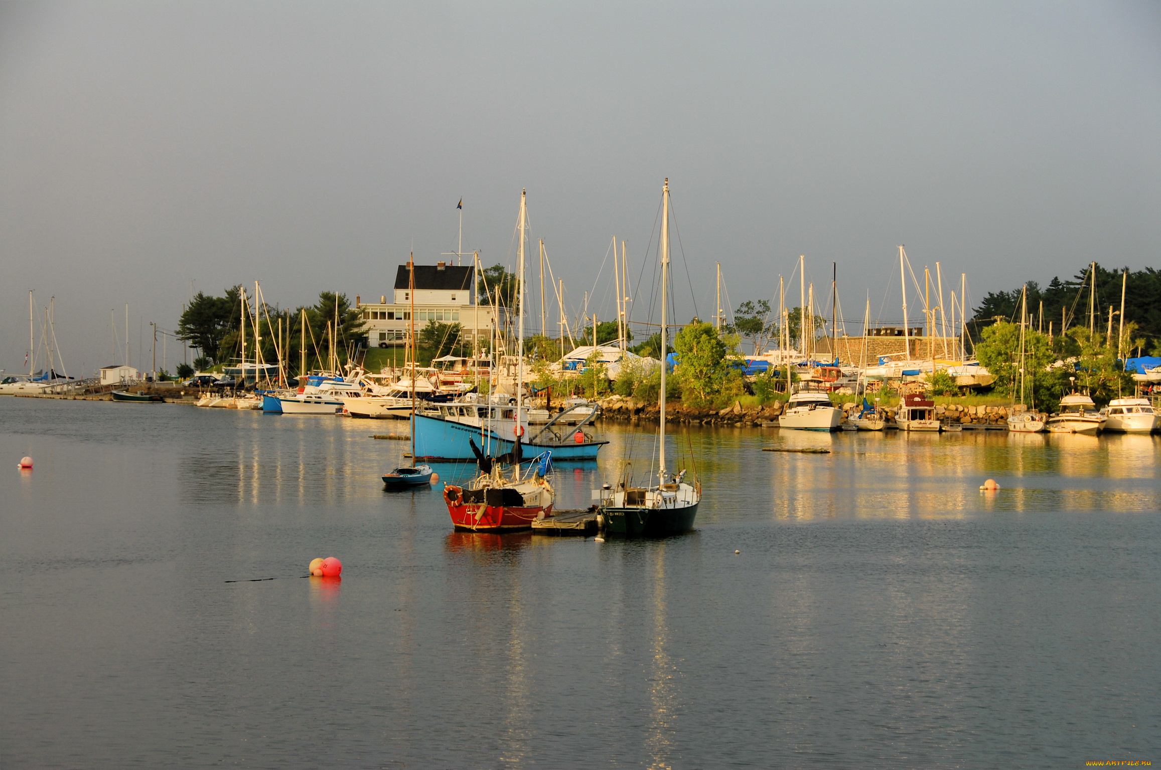 корабли, разные, вместе, море, парусники, галифакс, катера, канада