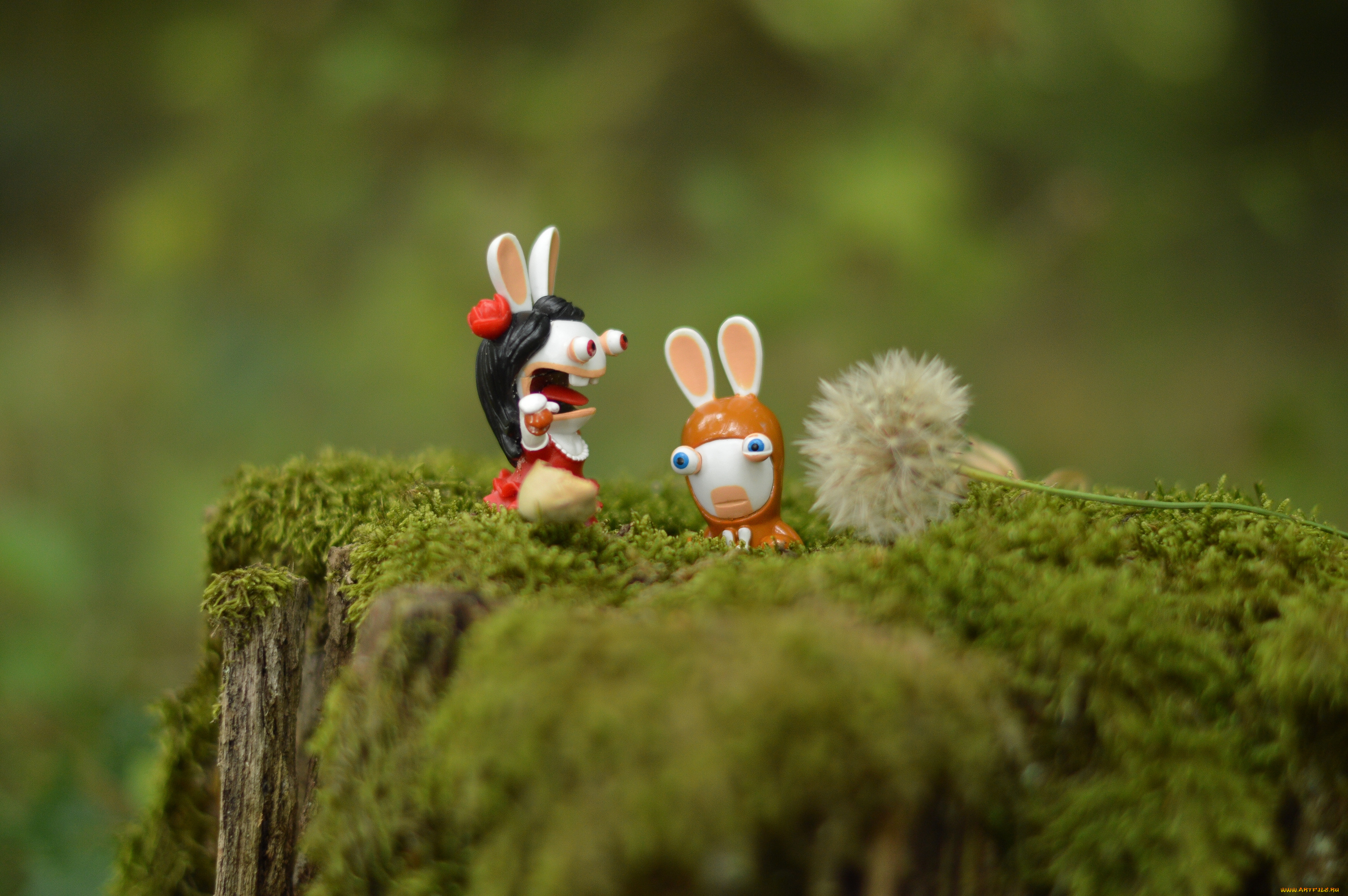 разное, игрушки, макро, мох, пень, кролики