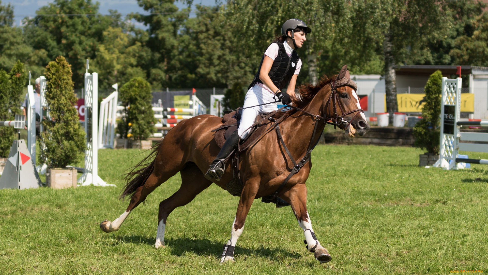 спорт, конный, спорт, ипподром, лошадь, жокей, скачки