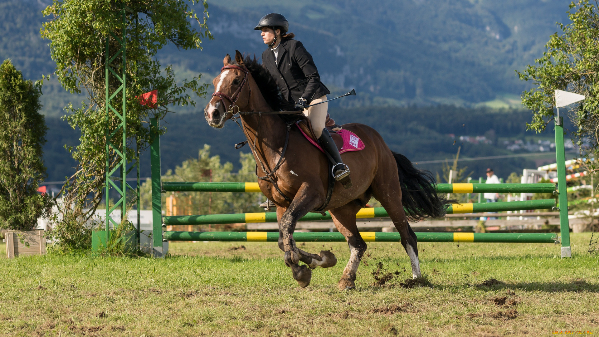 спорт, конный, спорт, ипподром, лошадь, жокей, скачки