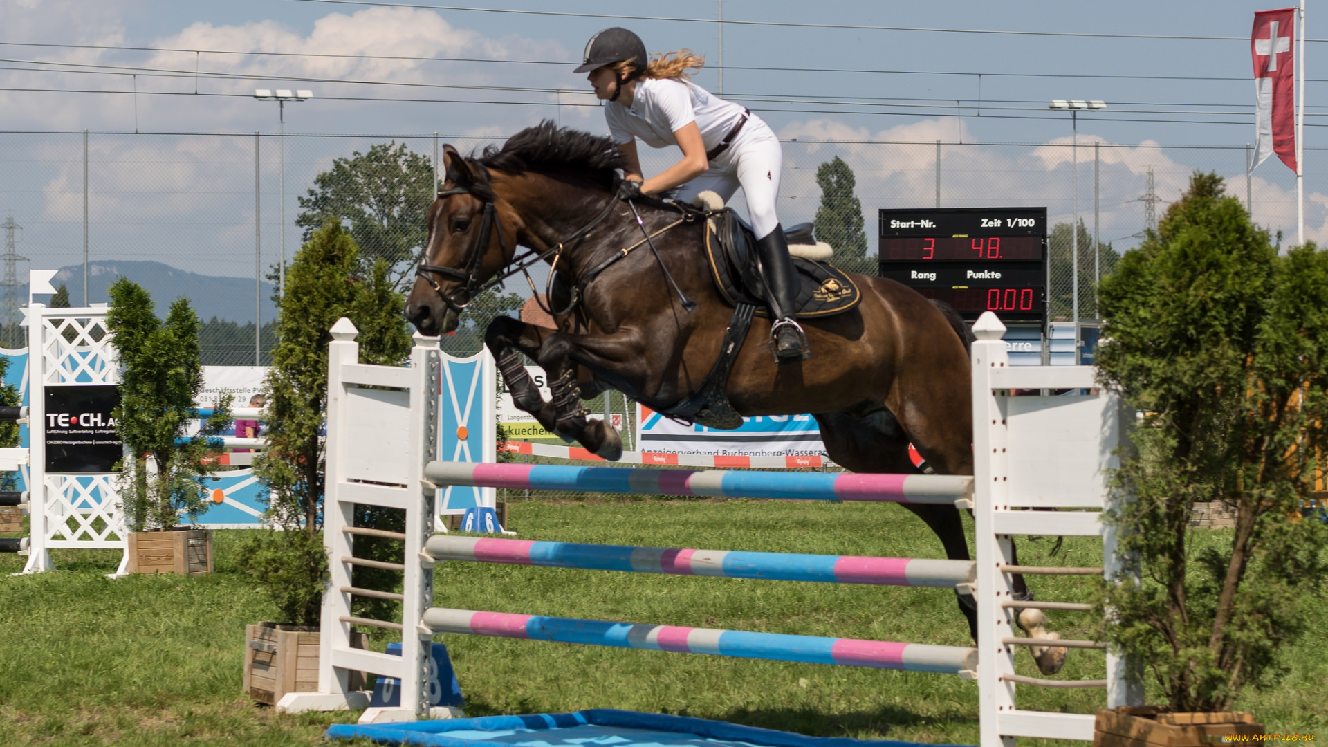 спорт, конный, спорт, ипподром, лошадь, жокей, скачки