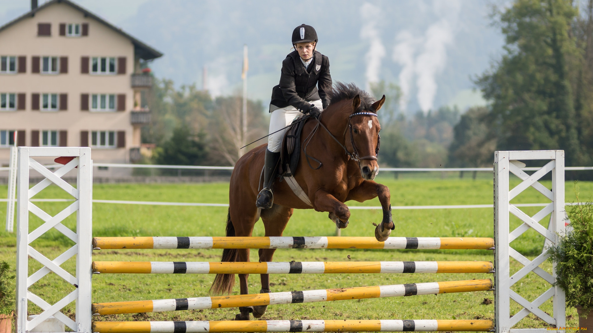 спорт, конный, спорт, ипподром, лошадь, жокей, скачки