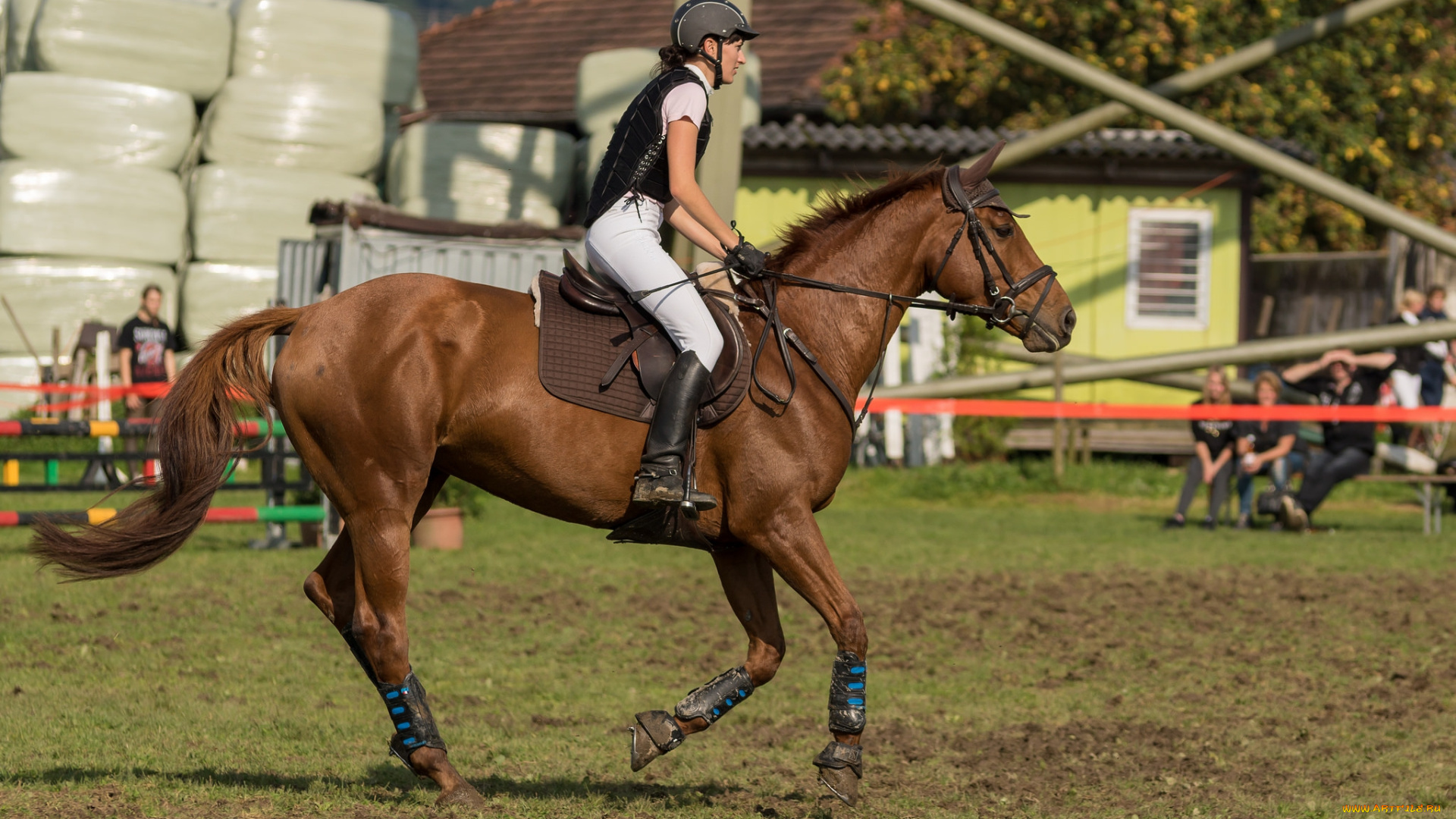 спорт, конный, спорт, ипподром, лошадь, жокей, скачки