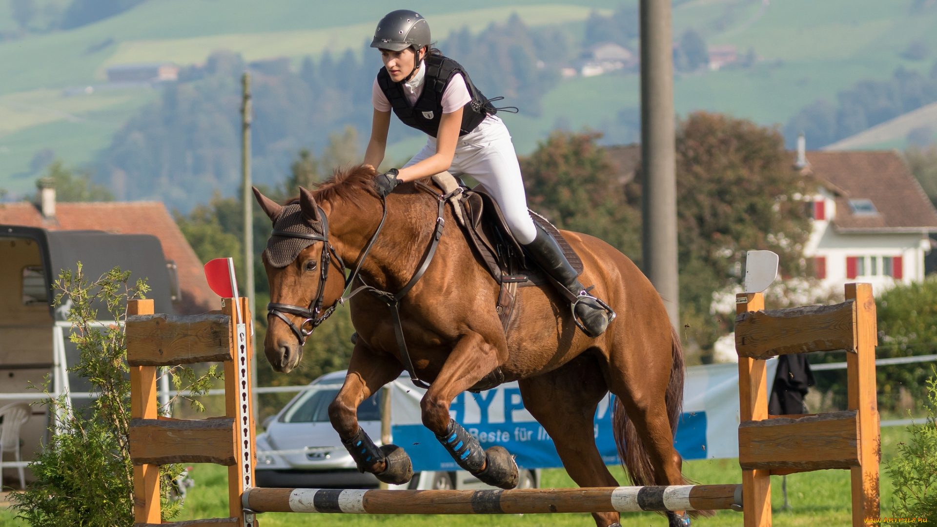 спорт, конный, спорт, скачки, жокей, ипподром, лошадь