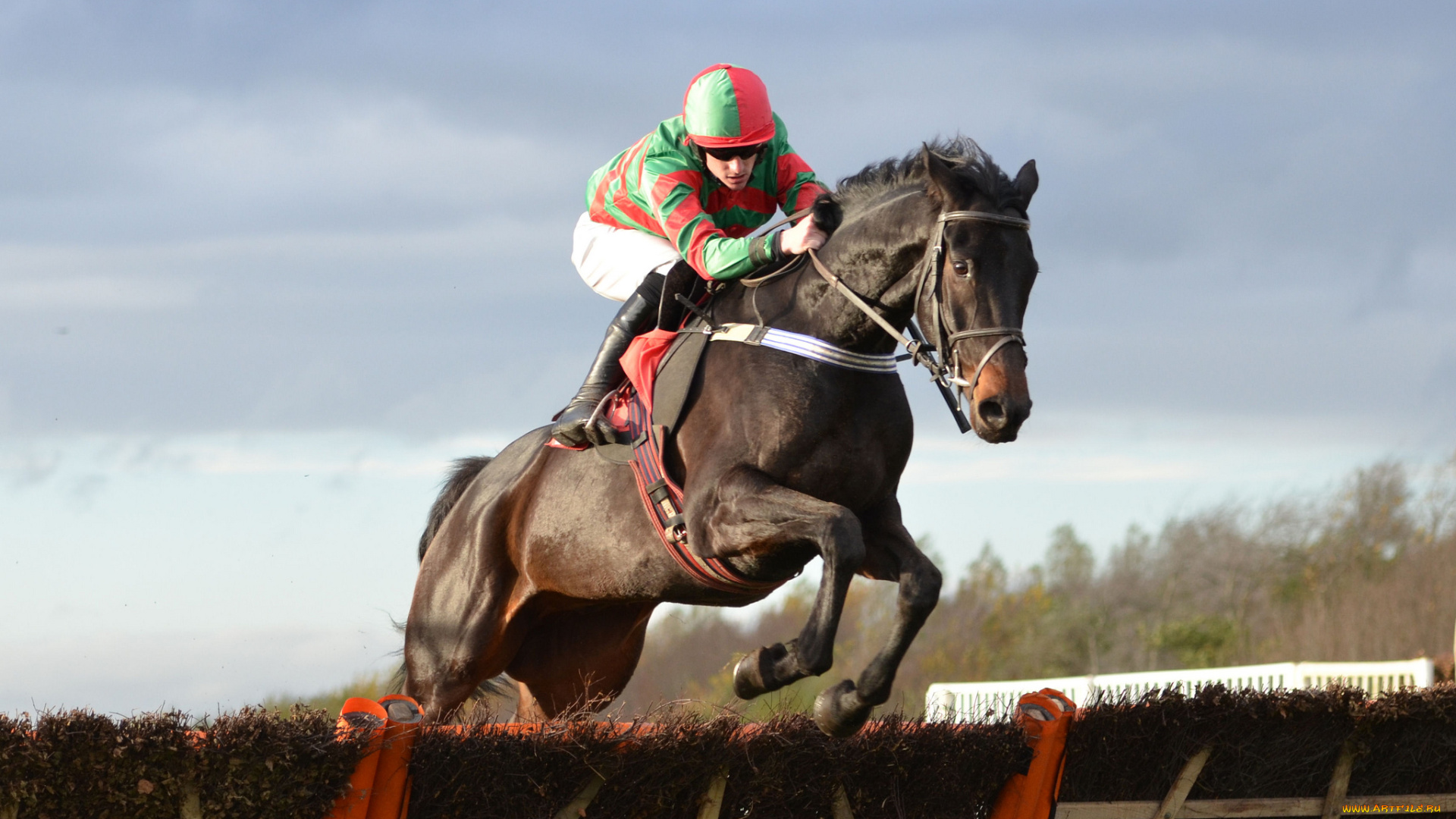 спорт, конный, спорт, скачки, жокей, лошадь, ипподром