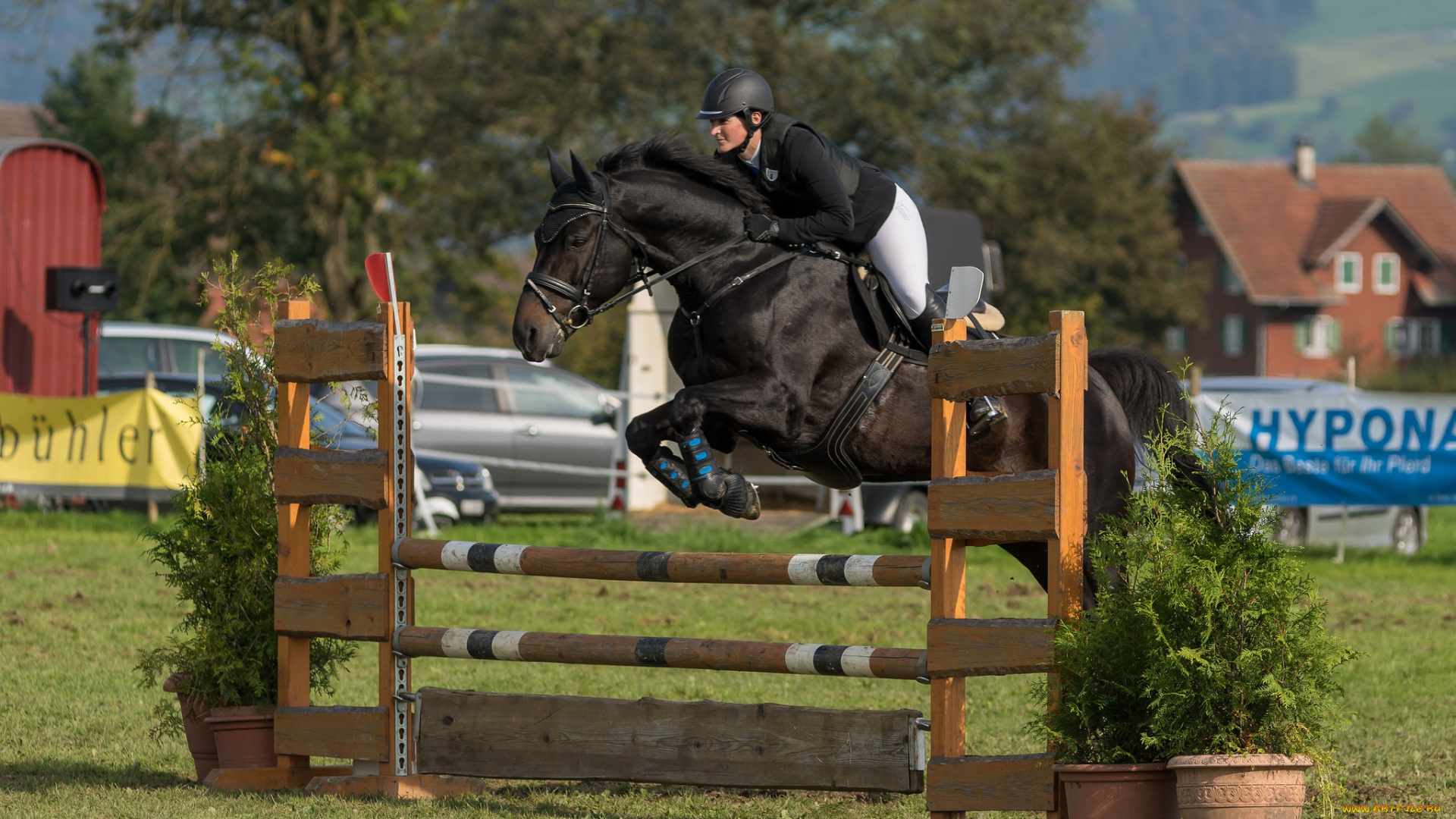 спорт, конный, спорт, жокей, лошадь, ипподром, скачки