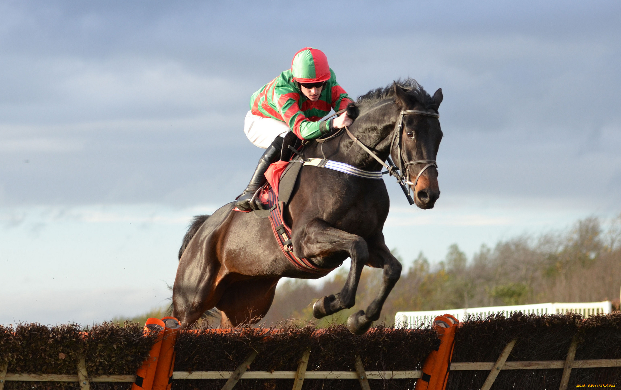 спорт, конный, спорт, скачки, жокей, лошадь, ипподром