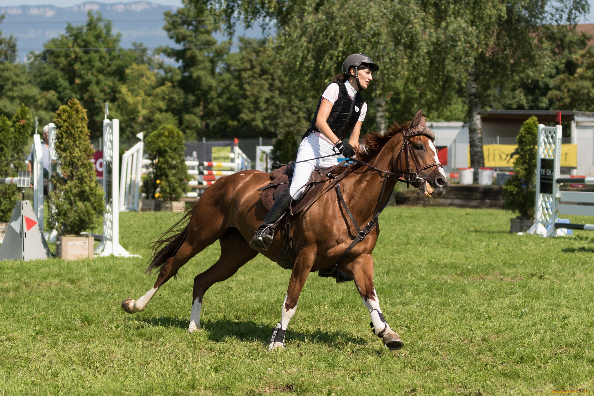 спорт, конный, спорт, ипподром, лошадь, жокей, скачки