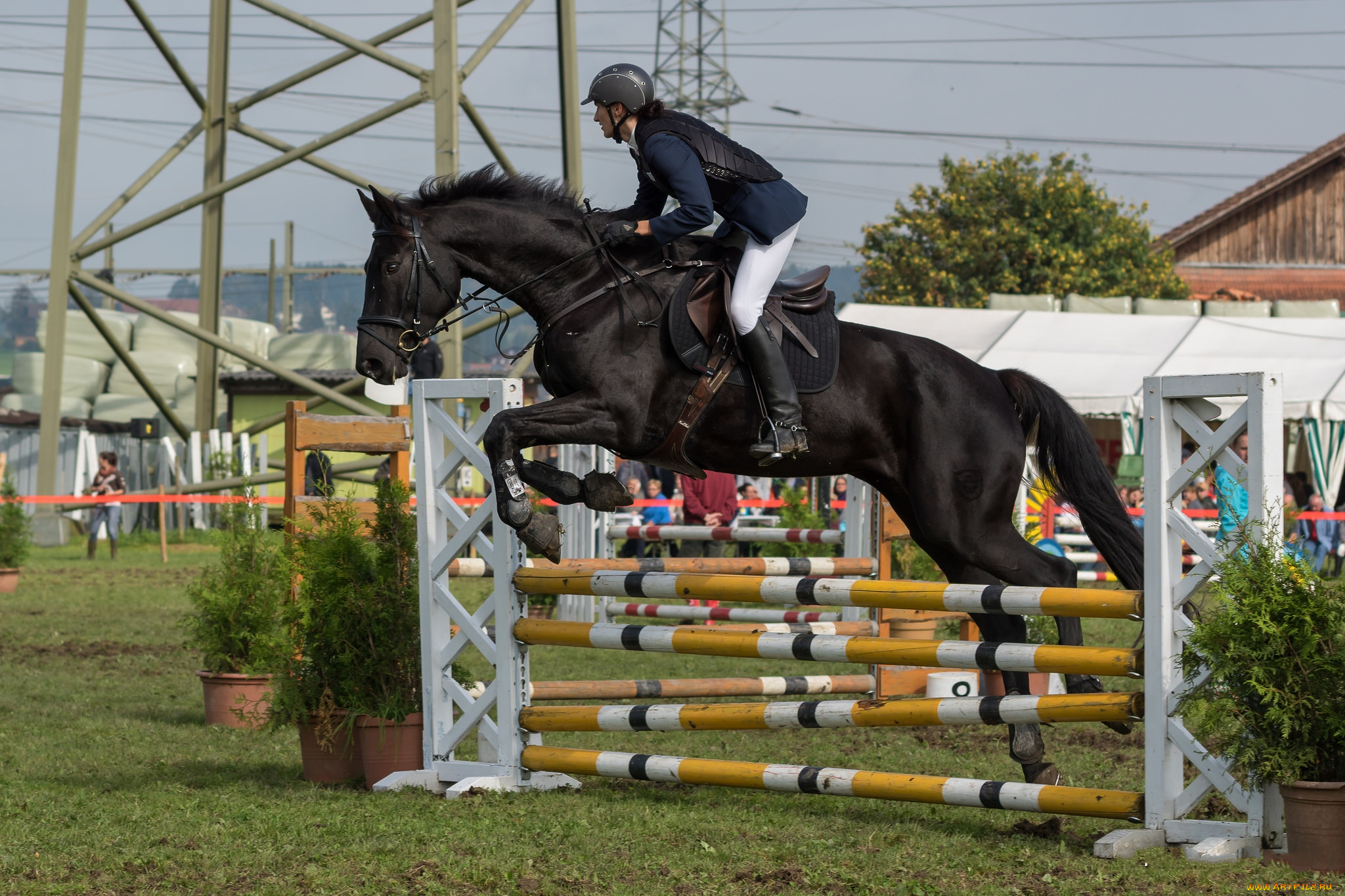 спорт, конный, спорт, ипподром, лошадь, жокей, скачки